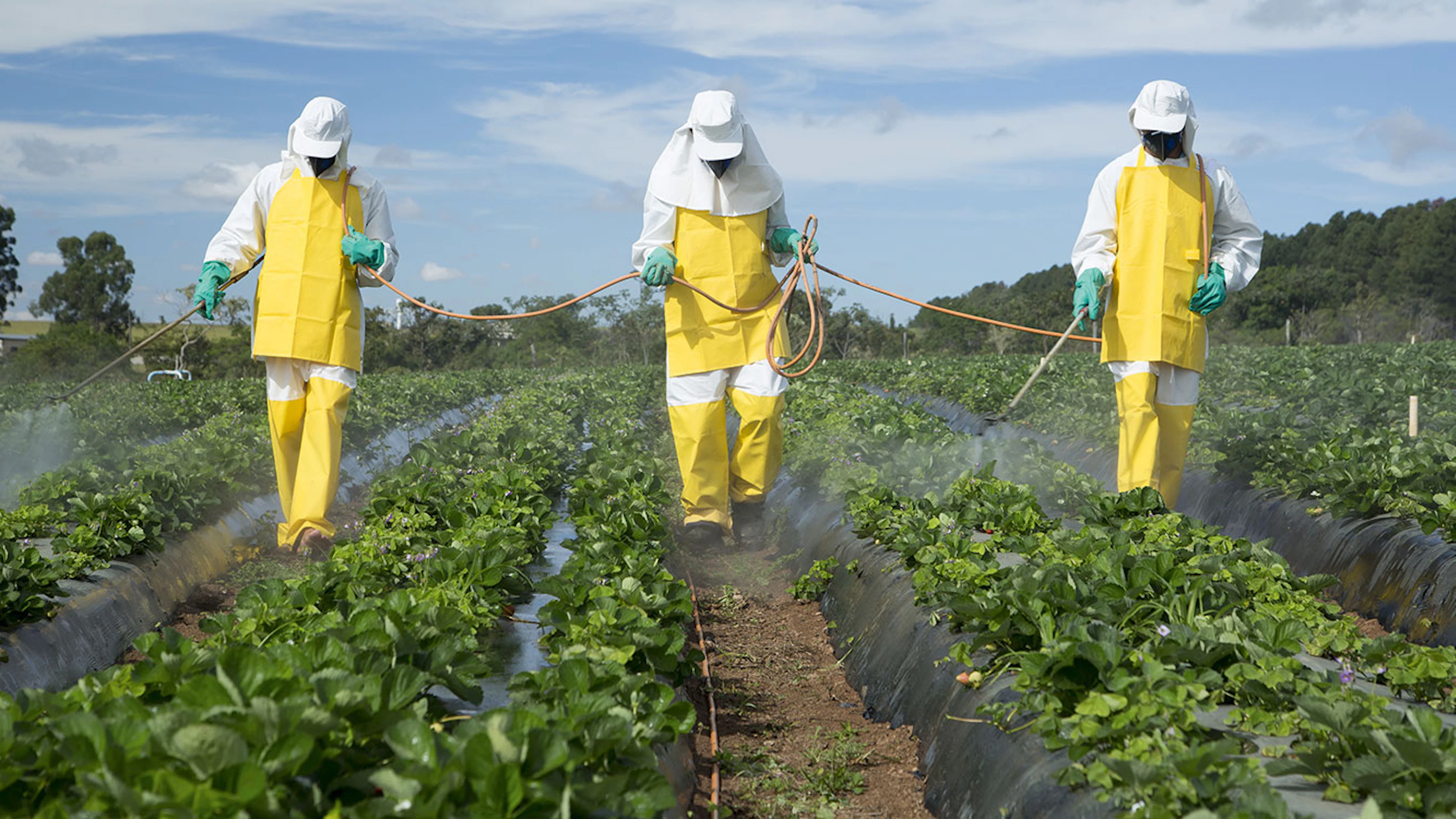Verhogen pesticiden risico op autisme?