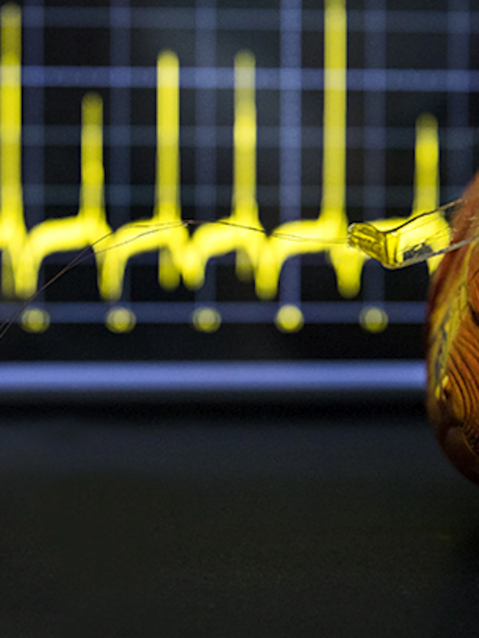 Pacemaker haalt energie uit hartslag