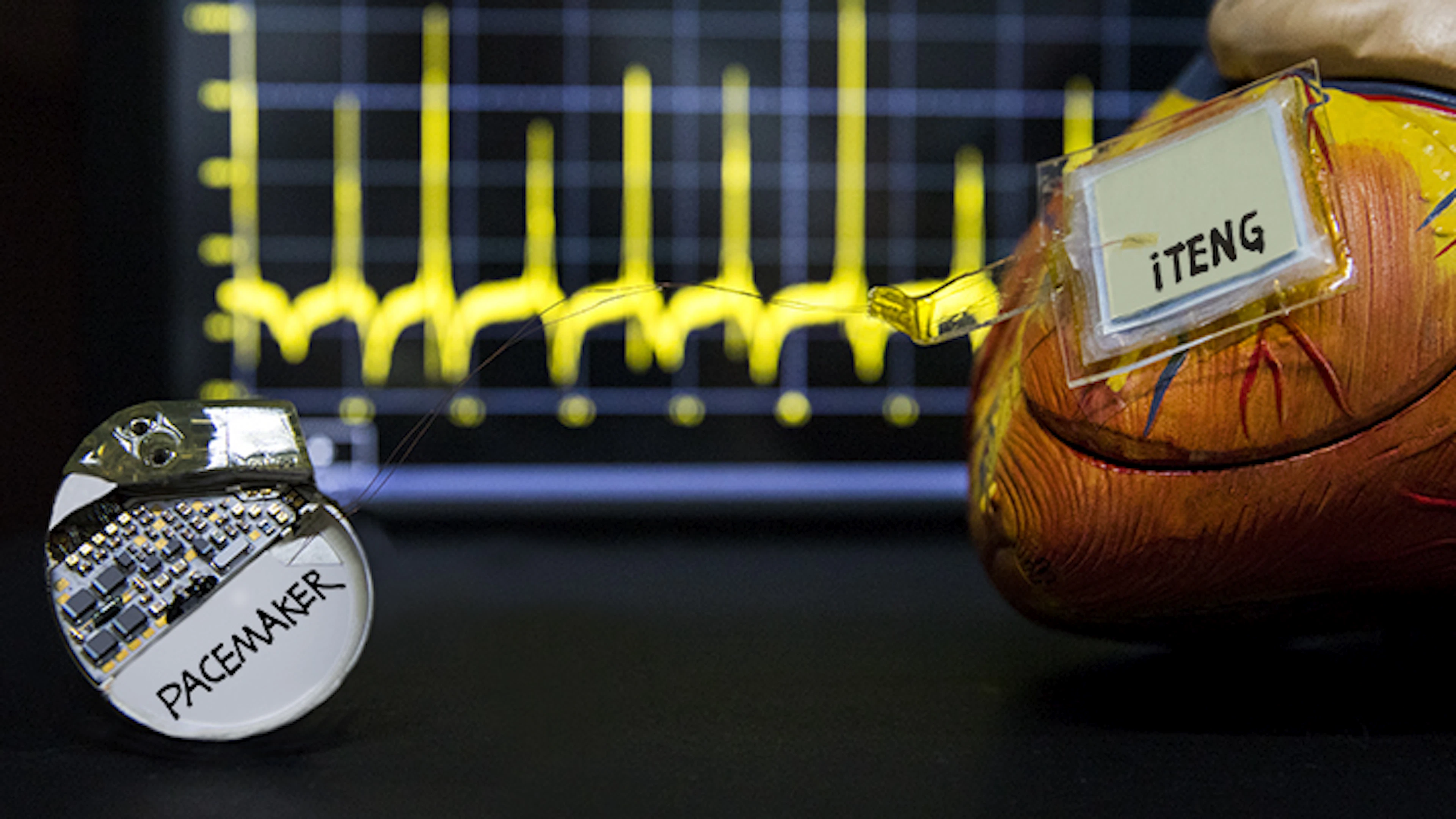 Pacemaker haalt energie uit hartslag