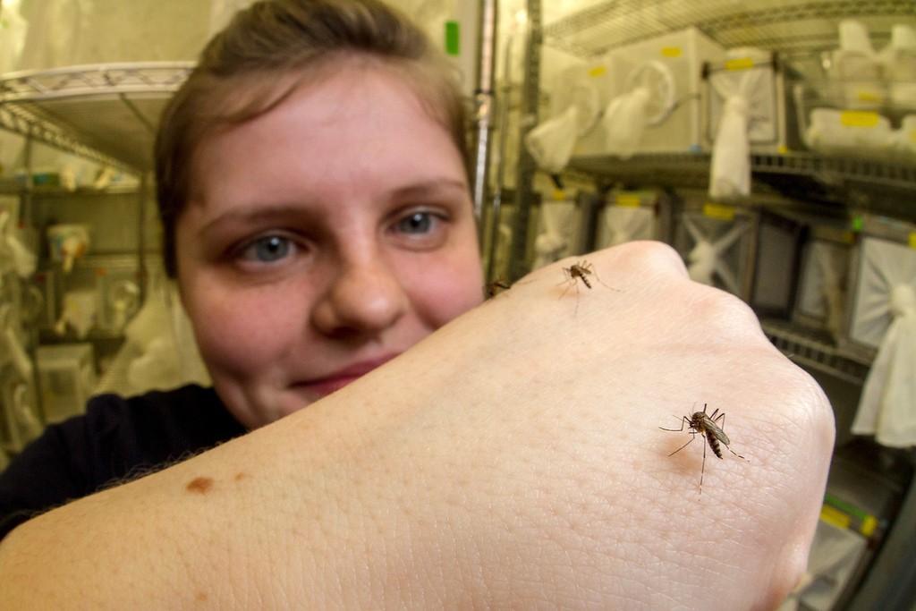 Waarom muggen niet van DEET houden