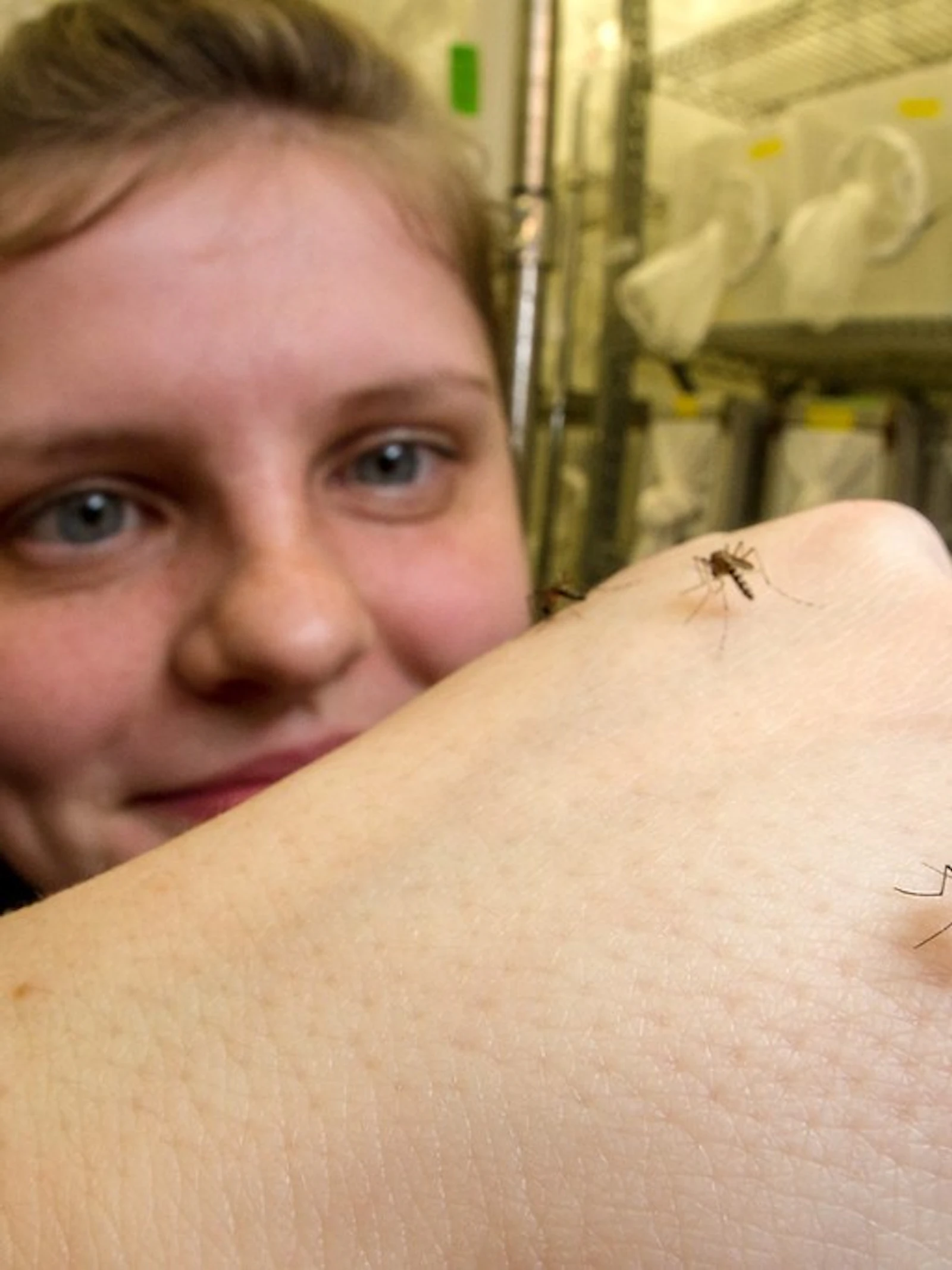 Waarom muggen niet van DEET houden