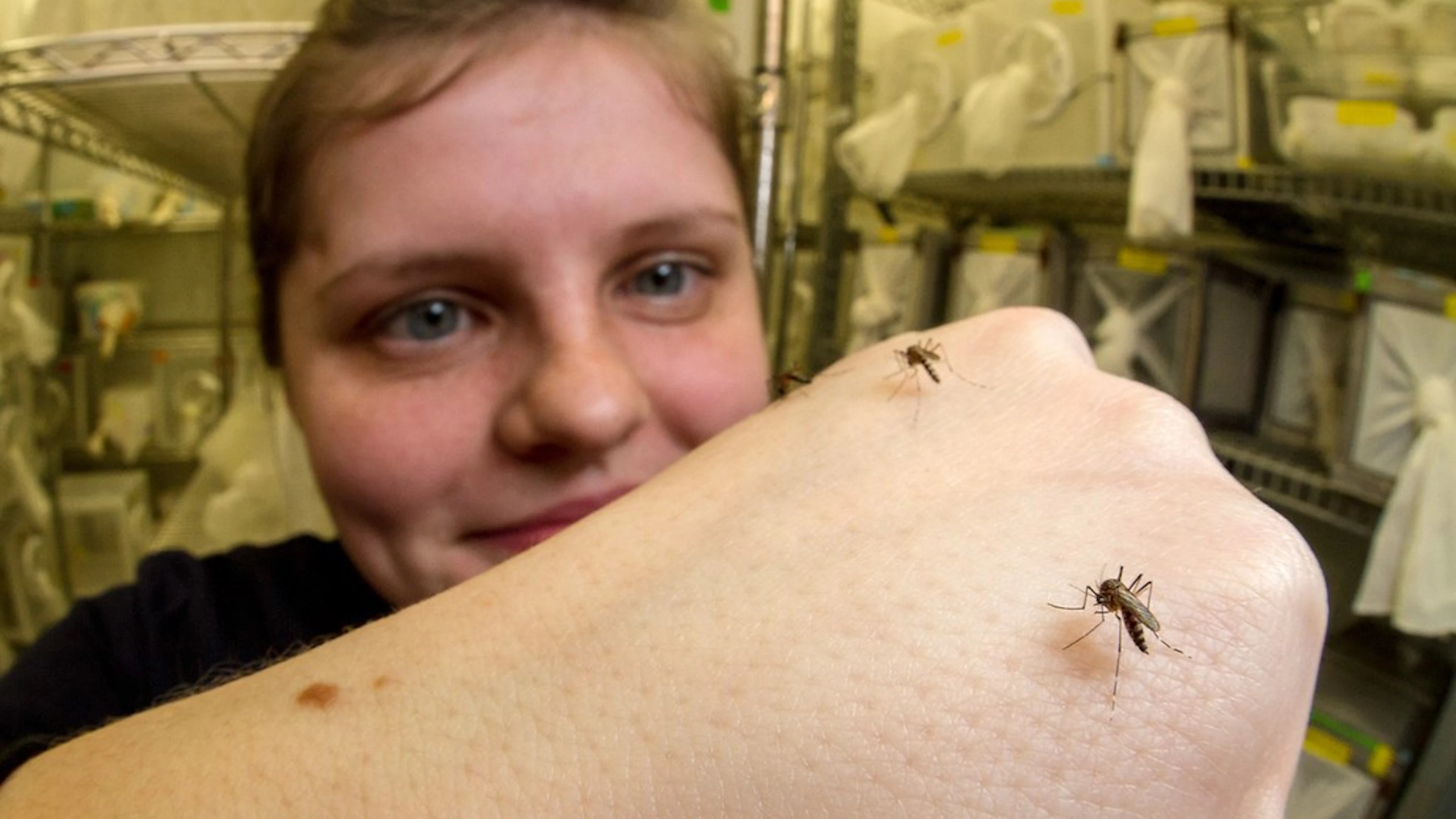 Waarom muggen niet van DEET houden