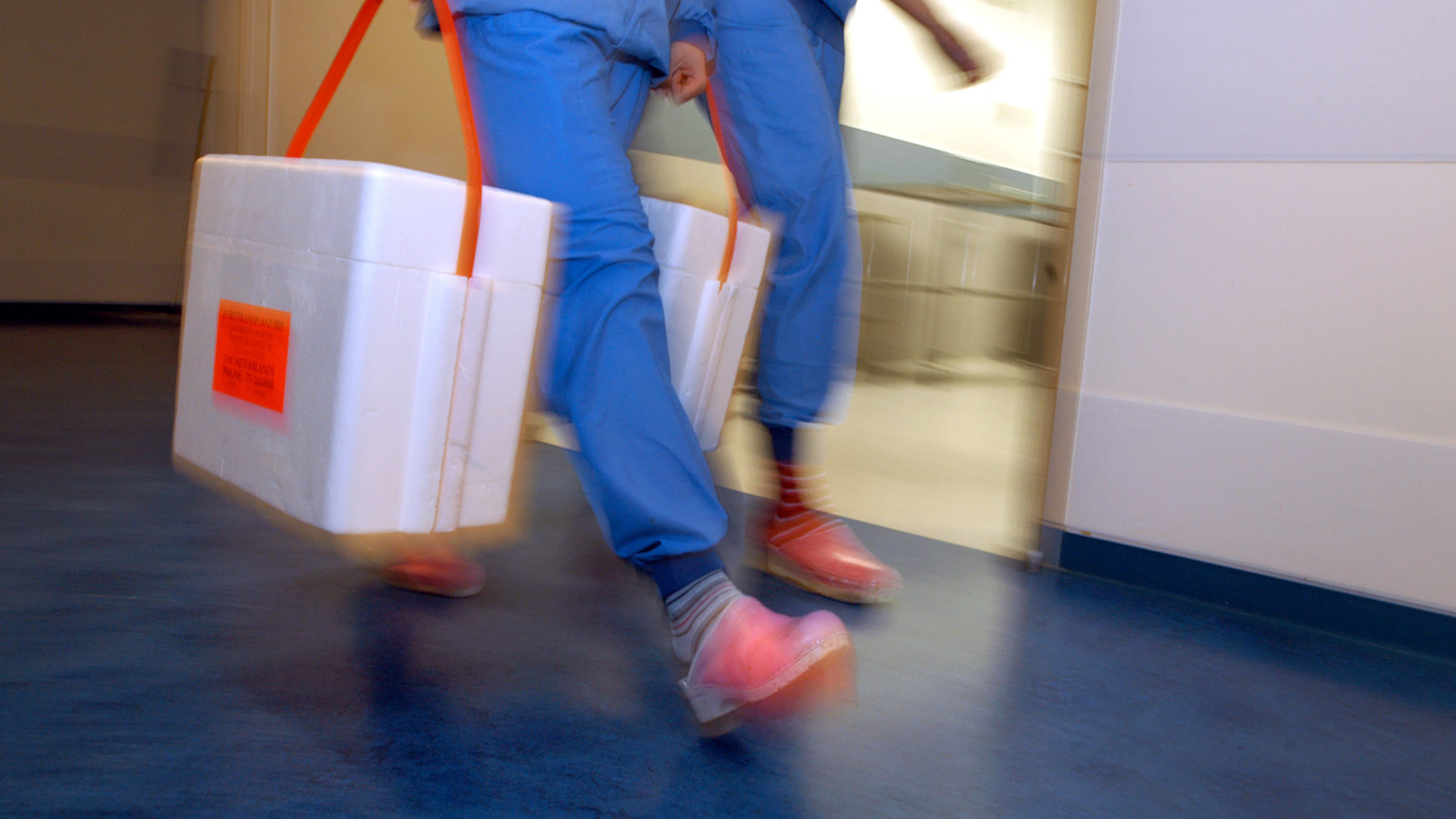 Harttransplantatie meteen na hartstilstand van donor kan aanbod flink vergroten