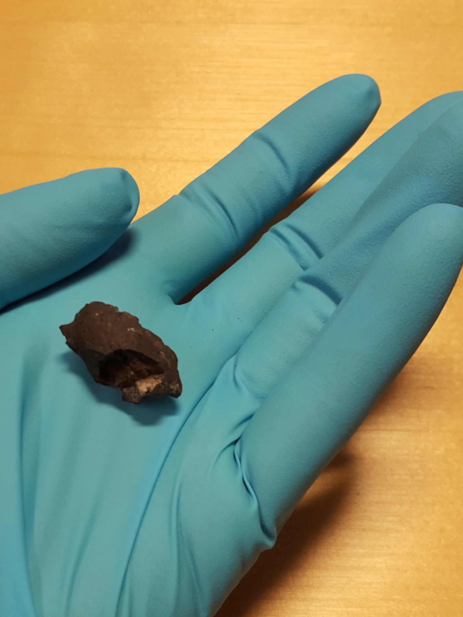 Afsplitsing neanderthalers vond veel vroeger plaats