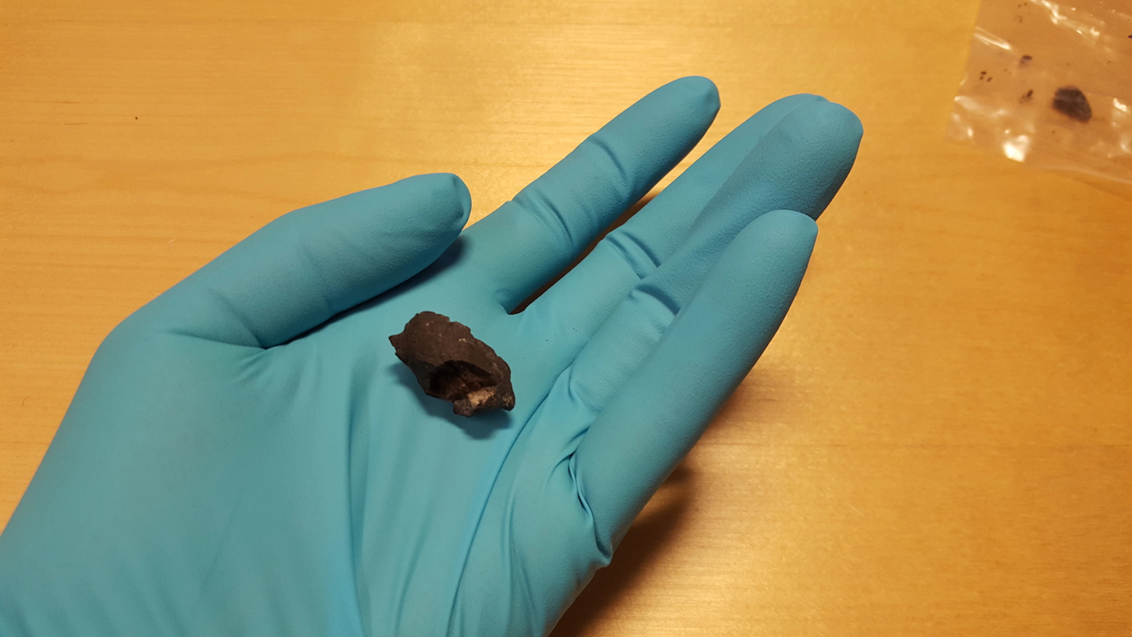 Afsplitsing neanderthalers vond veel vroeger plaats