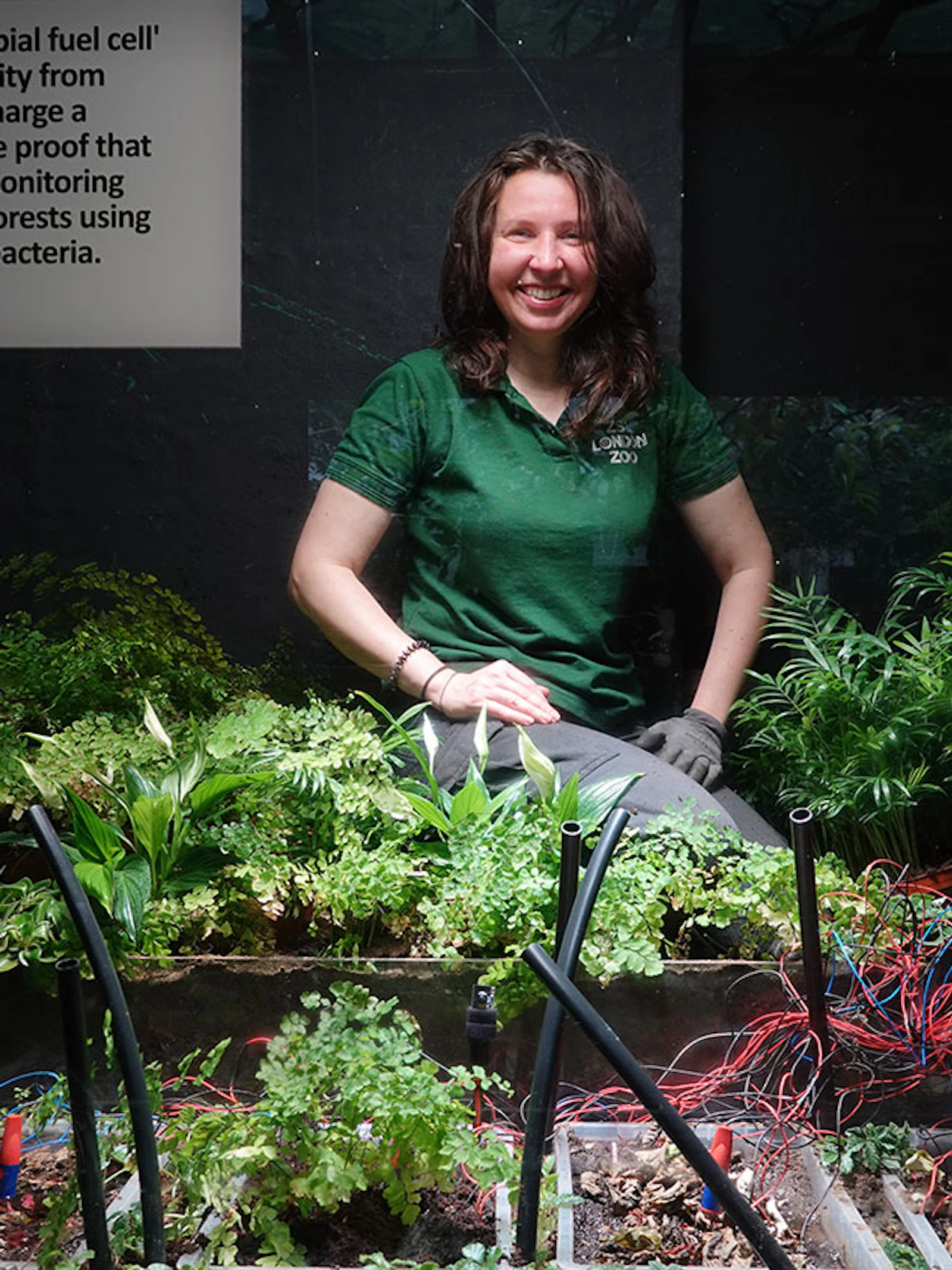 Een plant genaamd Pete neemt selfies en voorziet de camera zelf van stroom