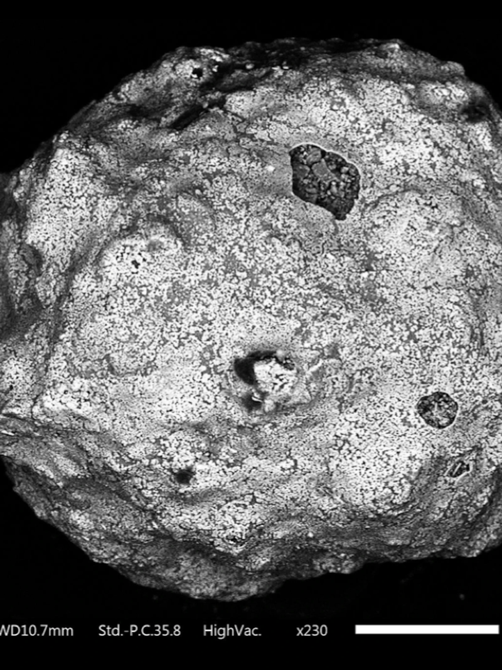 micrometeoriet Geologe Flore Van Maldeghem maakte CT-scans van micrometeorieten