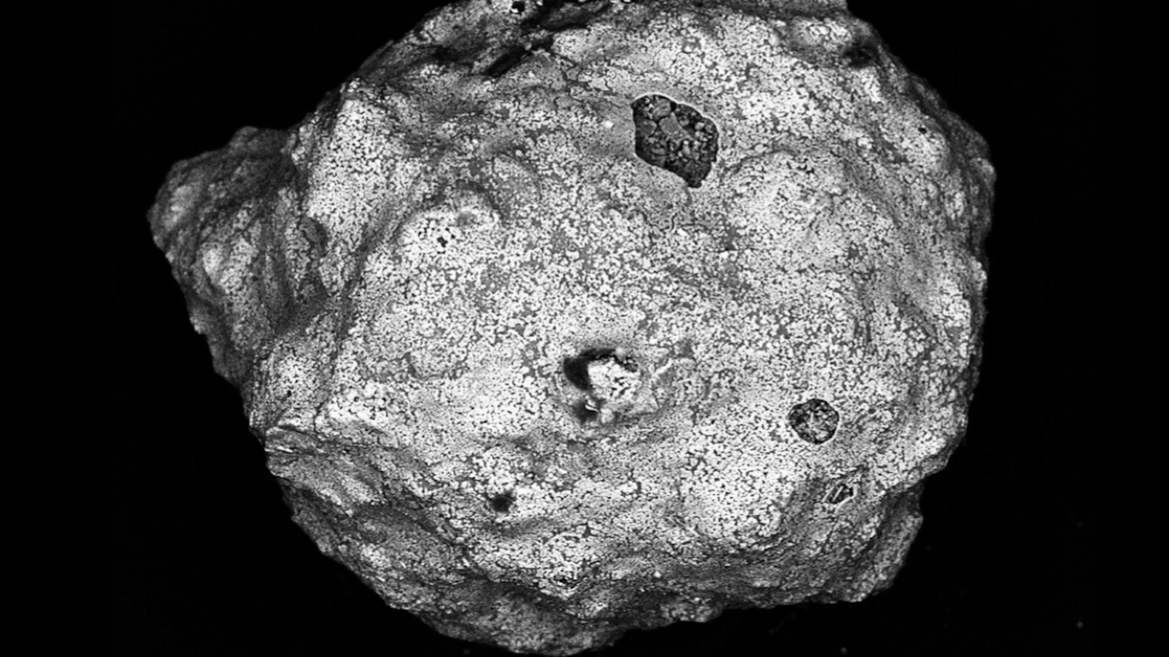 micrometeoriet Geologe Flore Van Maldeghem maakte CT-scans van micrometeorieten