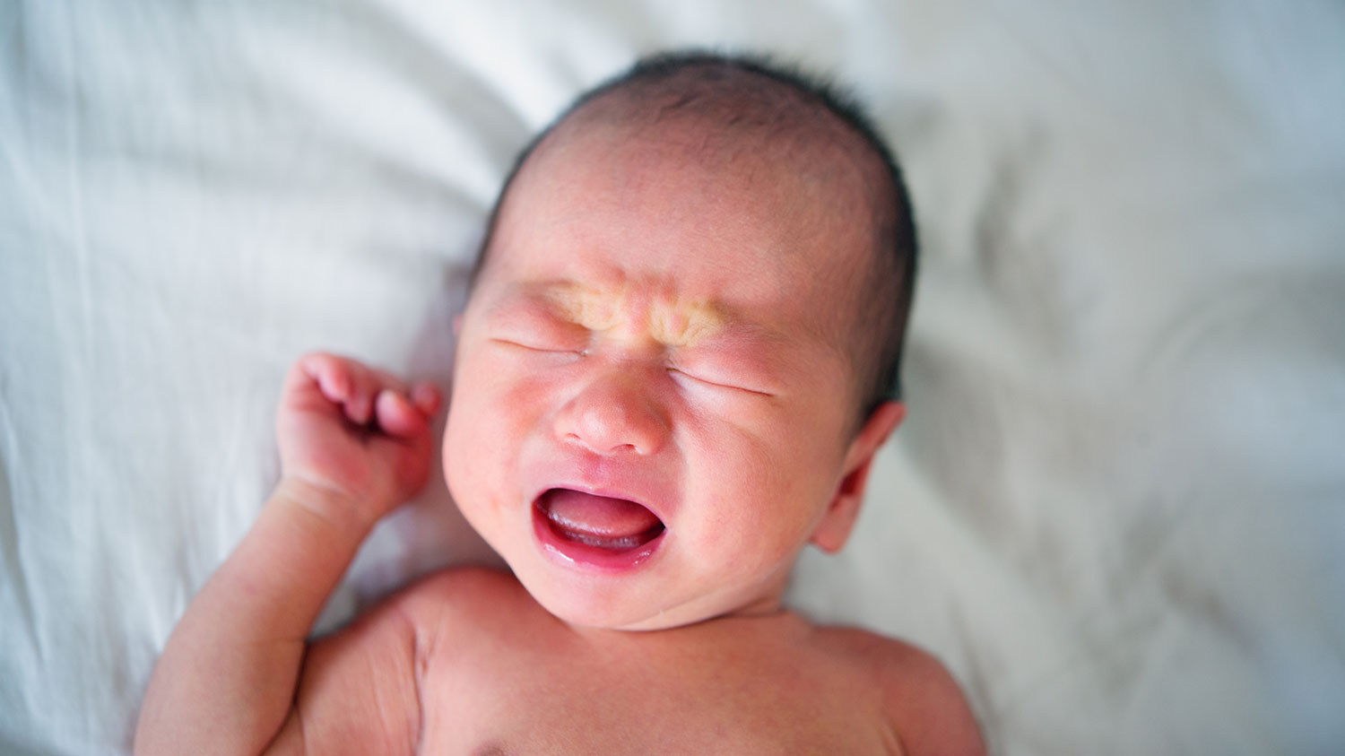 Algoritme vertaalt babygehuil