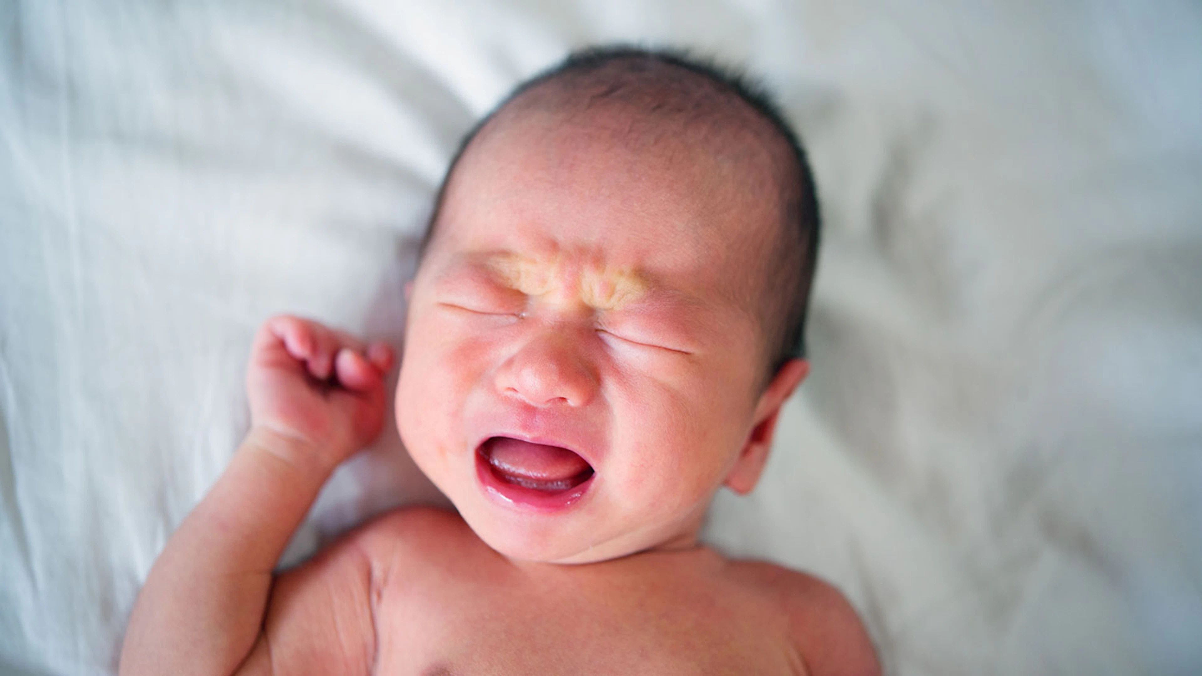 Algoritme vertaalt babygehuil