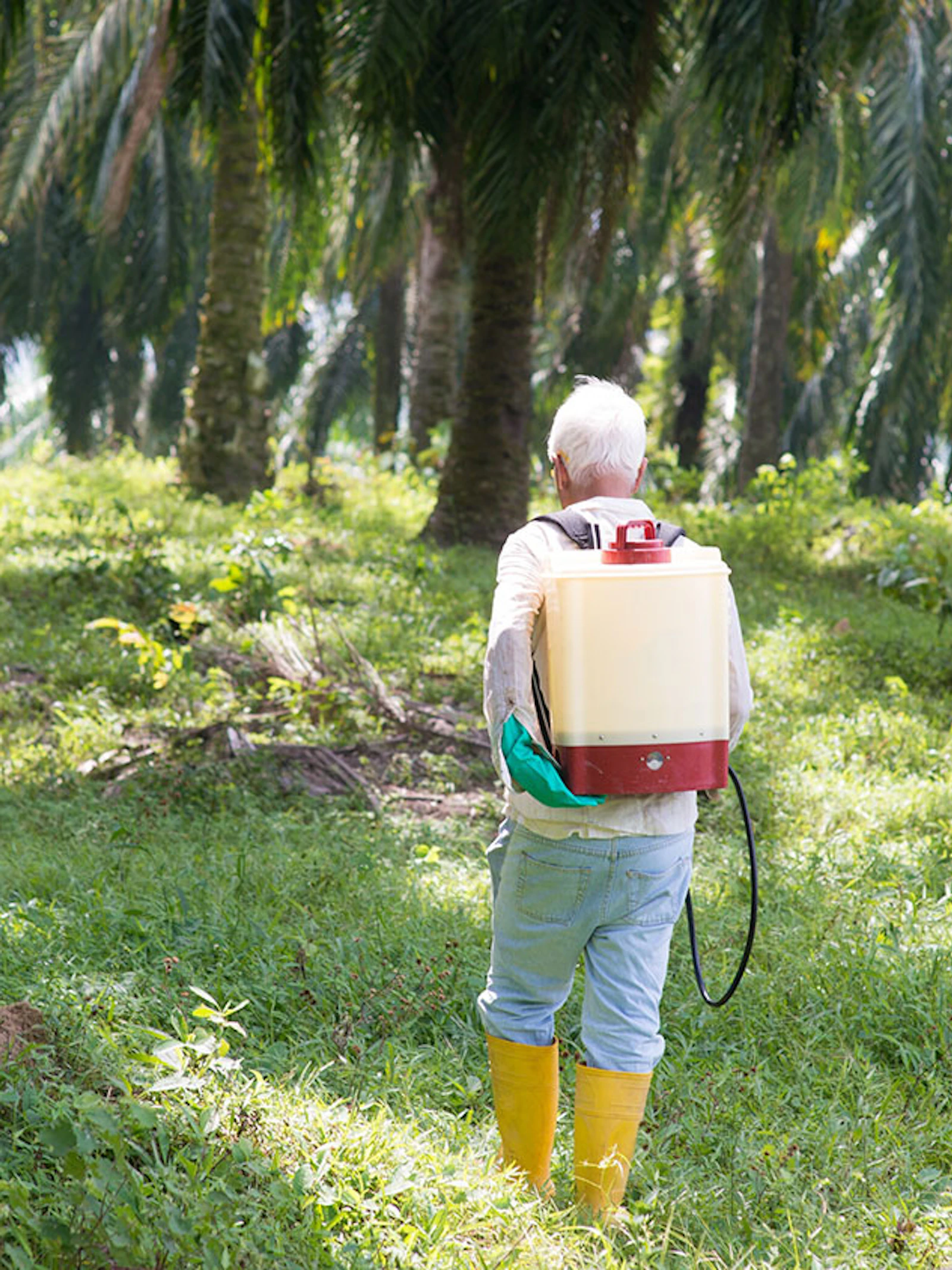 Palmolie-ontbossing achter een masker
