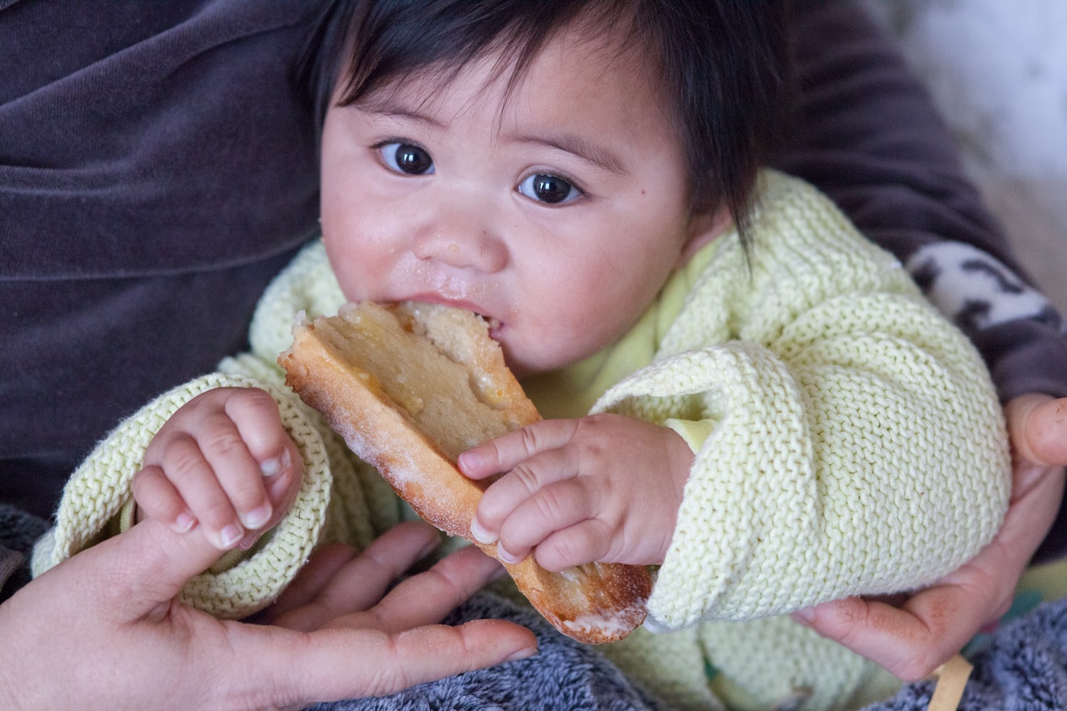 Vergroot een baby gluten geven het risico op de glutenziekte coeliakie?