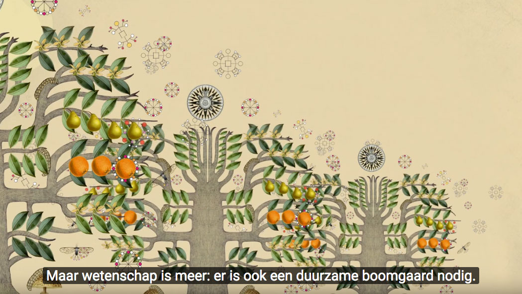 Als we haar wortels voeden, bloesemt de wetenschap