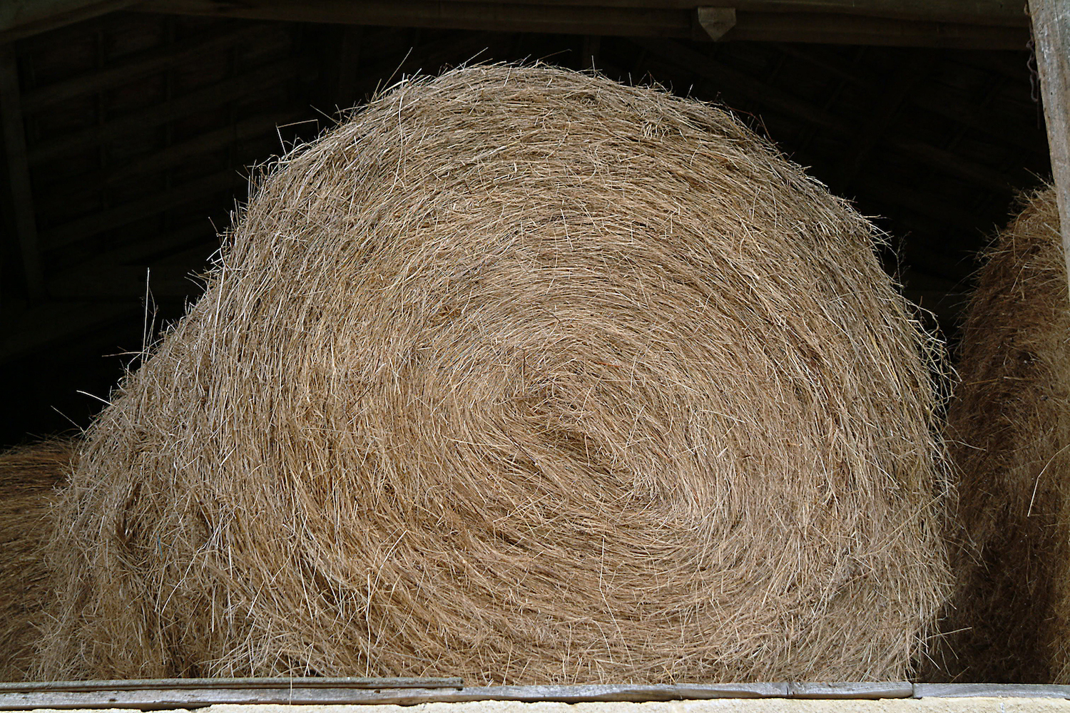 Wassen we onze haren binnenkort met shampoo van stro?