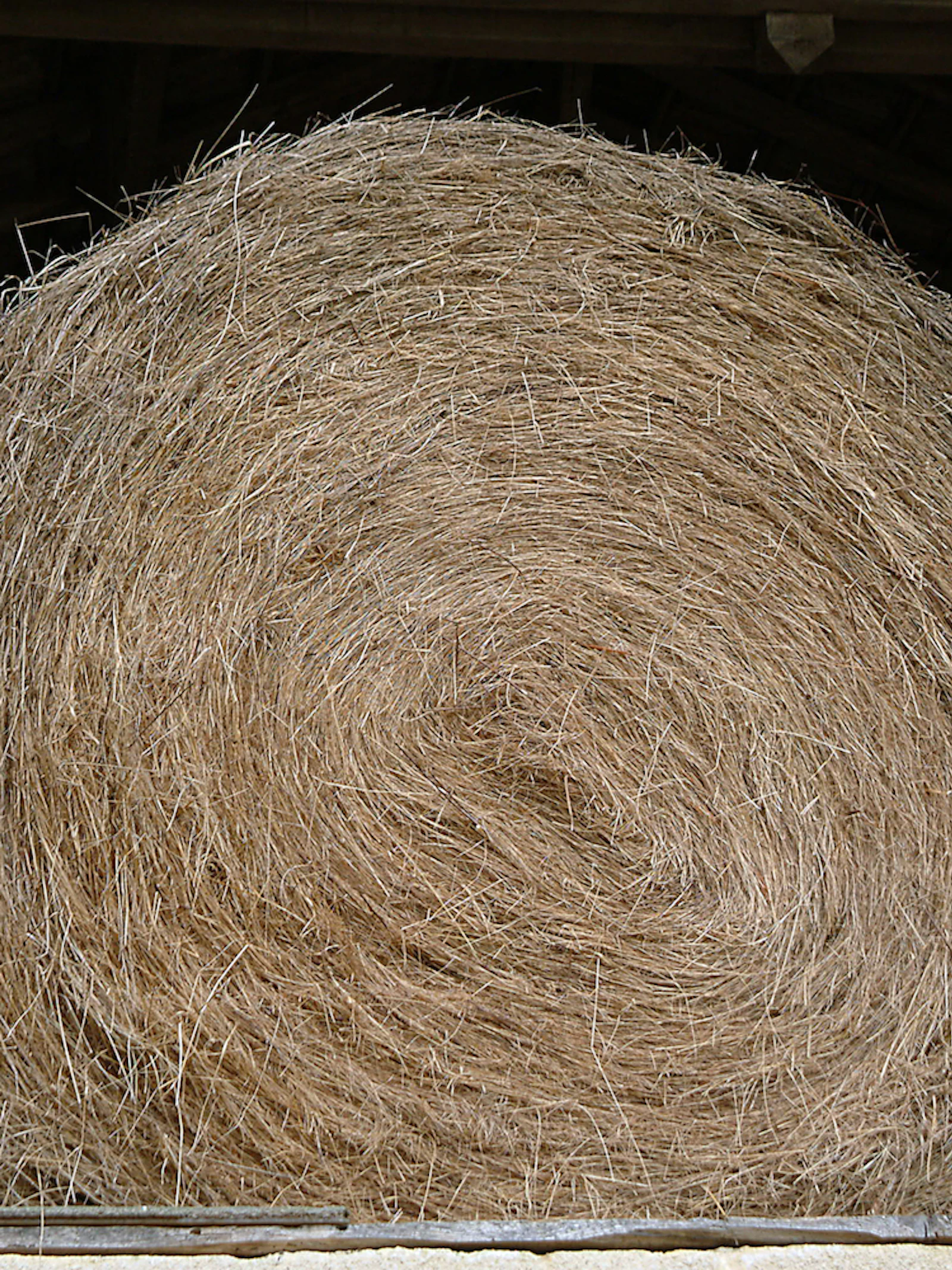 Wassen we onze haren binnenkort met shampoo van stro?