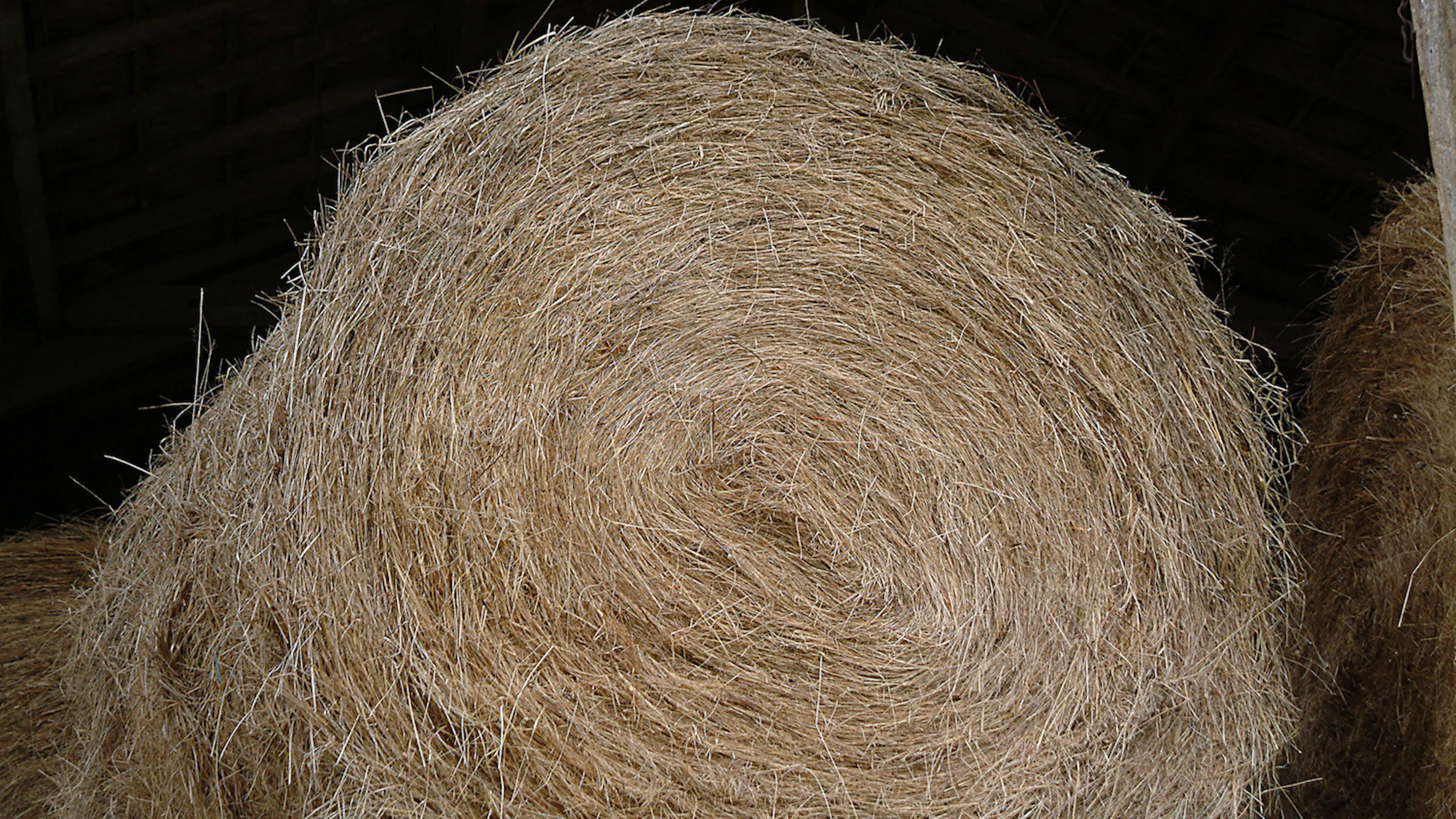 Wassen we onze haren binnenkort met shampoo van stro?