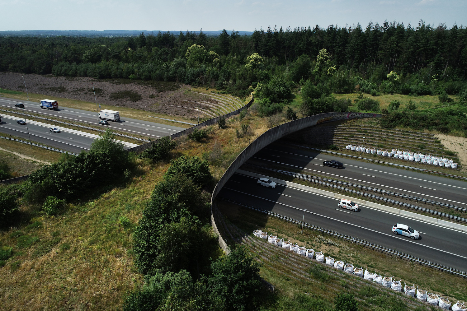 Verbind natuurgebieden om conflicten te voorkomen