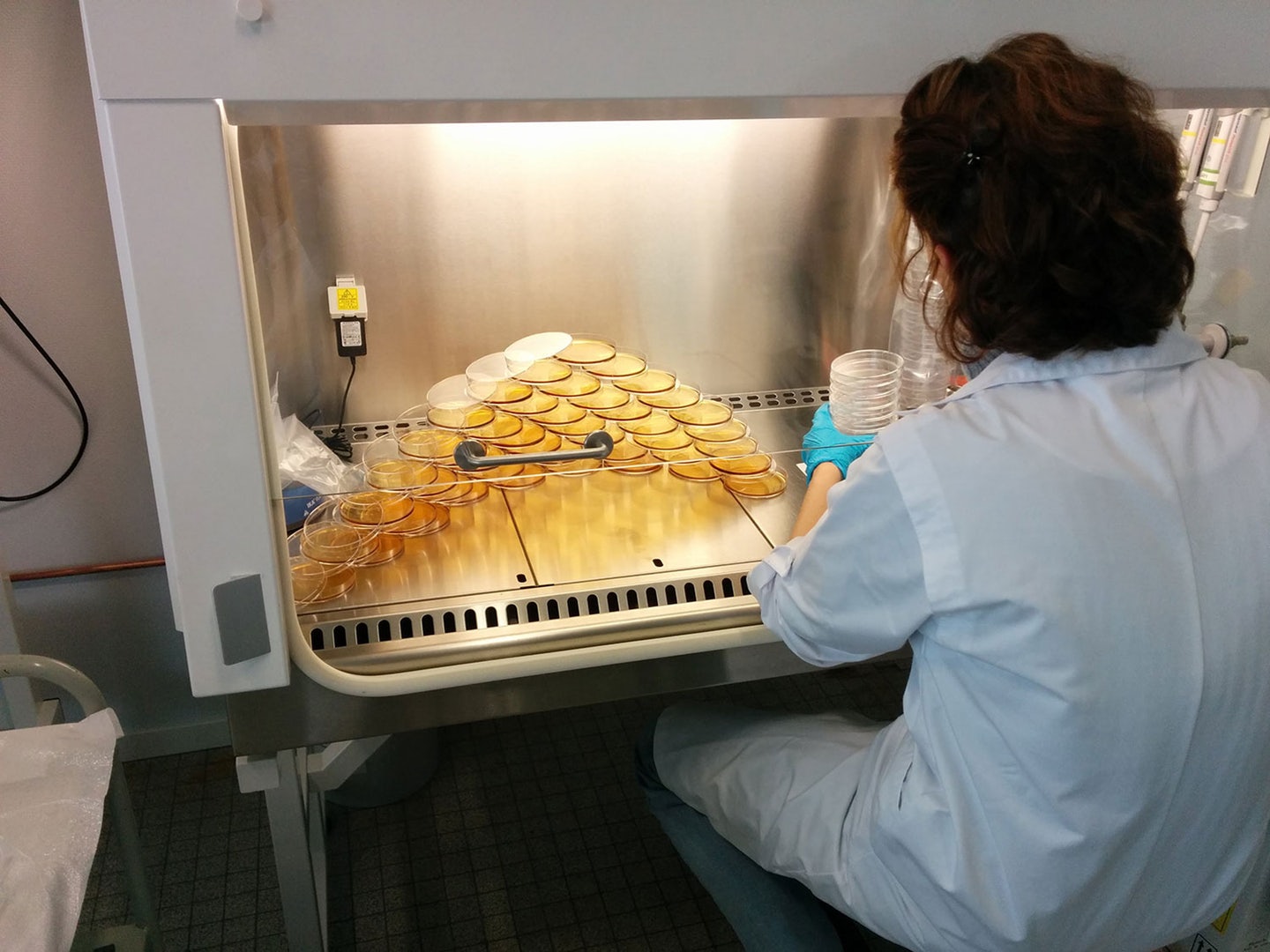 Kom ontdekken wat biotech allemaal in petto heeft