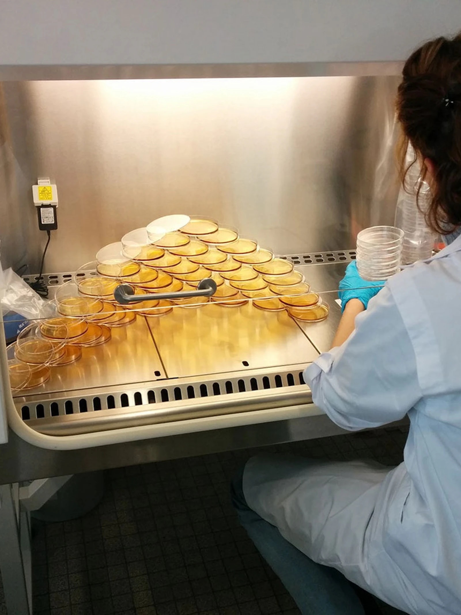 Kom ontdekken wat biotech allemaal in petto heeft