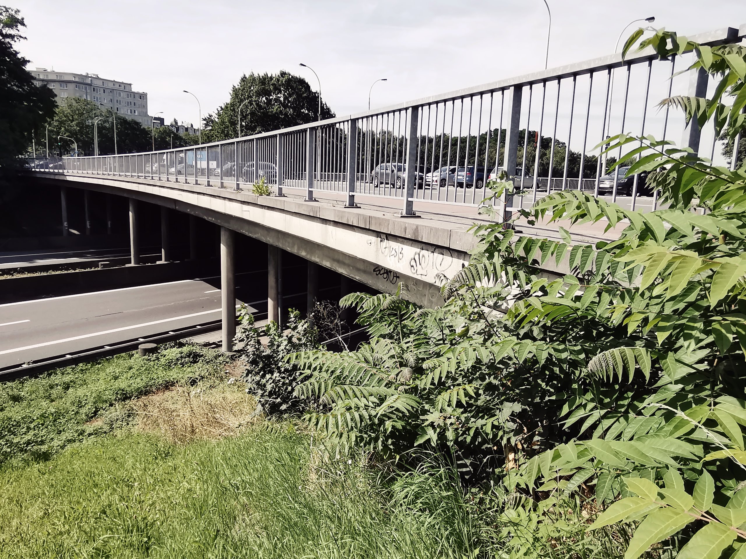 De stad, een buitenaards ecosysteem
