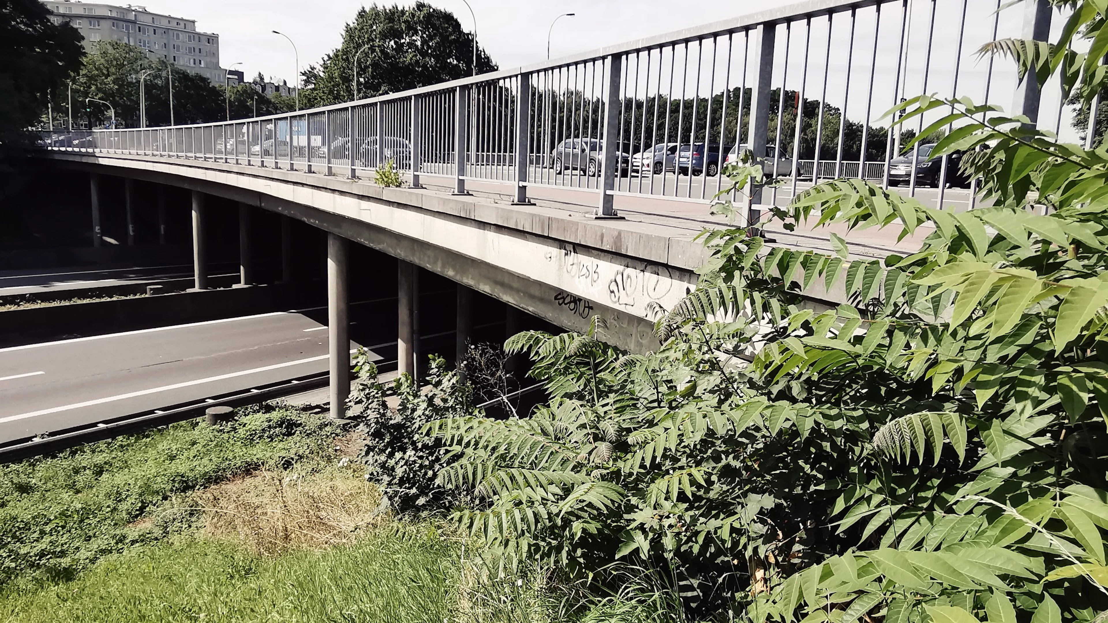 De stad, een buitenaards ecosysteem