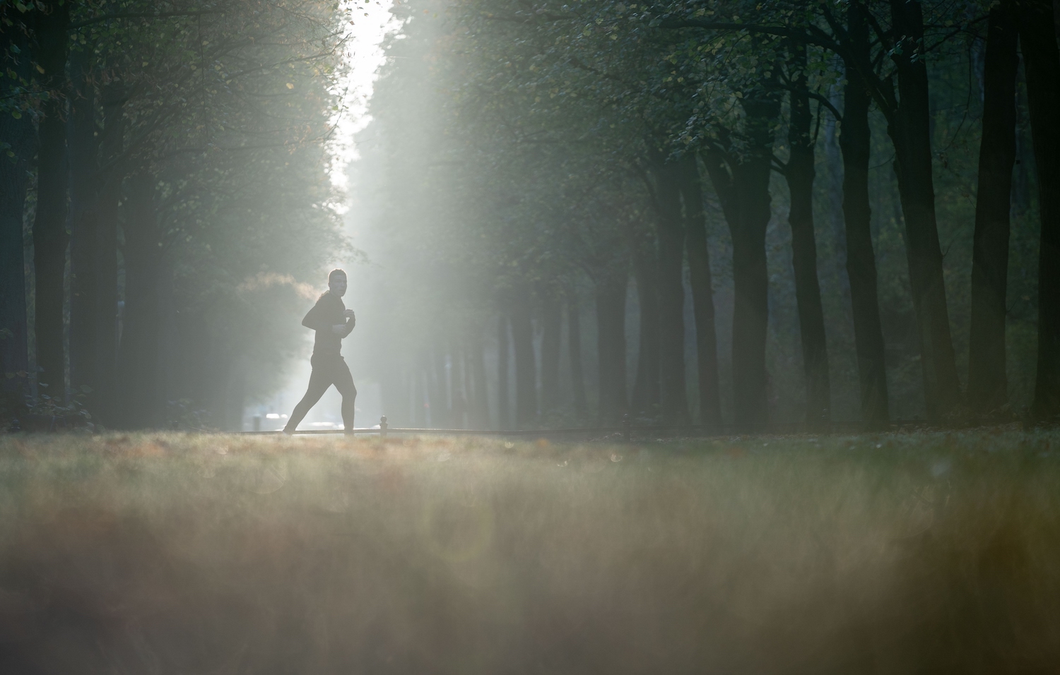 Verbrand je meer vet als je sport voor je ontbijt?