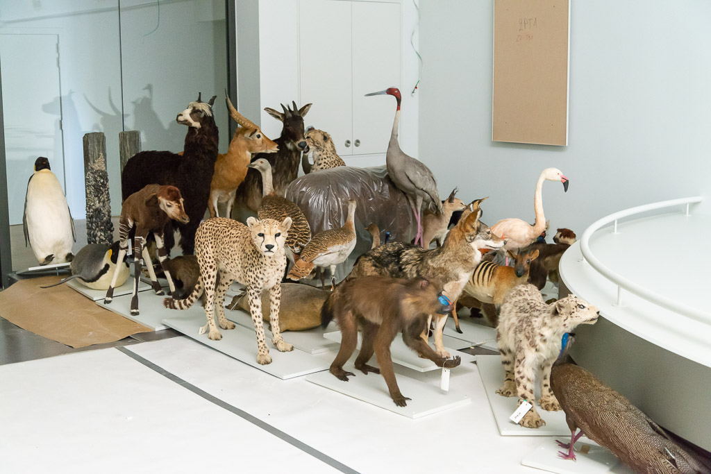 Nieuwe expozaal 'Levende Planeet' moet de aarde als biotoop beter doen begrijpen