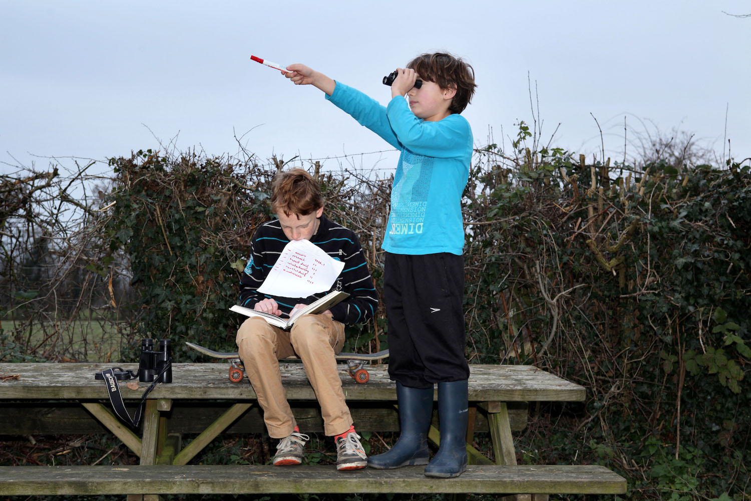 Het Grote Vogelweekend: meer tellers, minder vogels