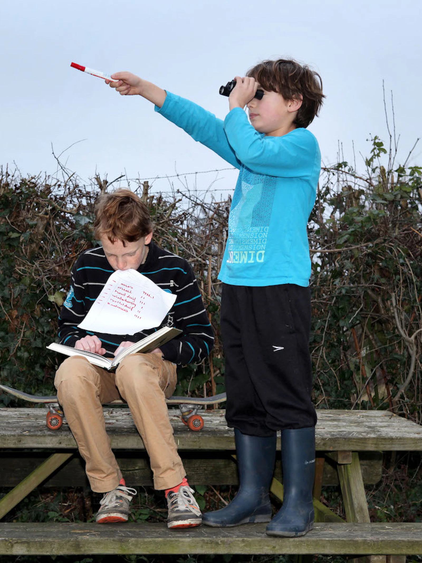 Het Grote Vogelweekend: meer tellers, minder vogels