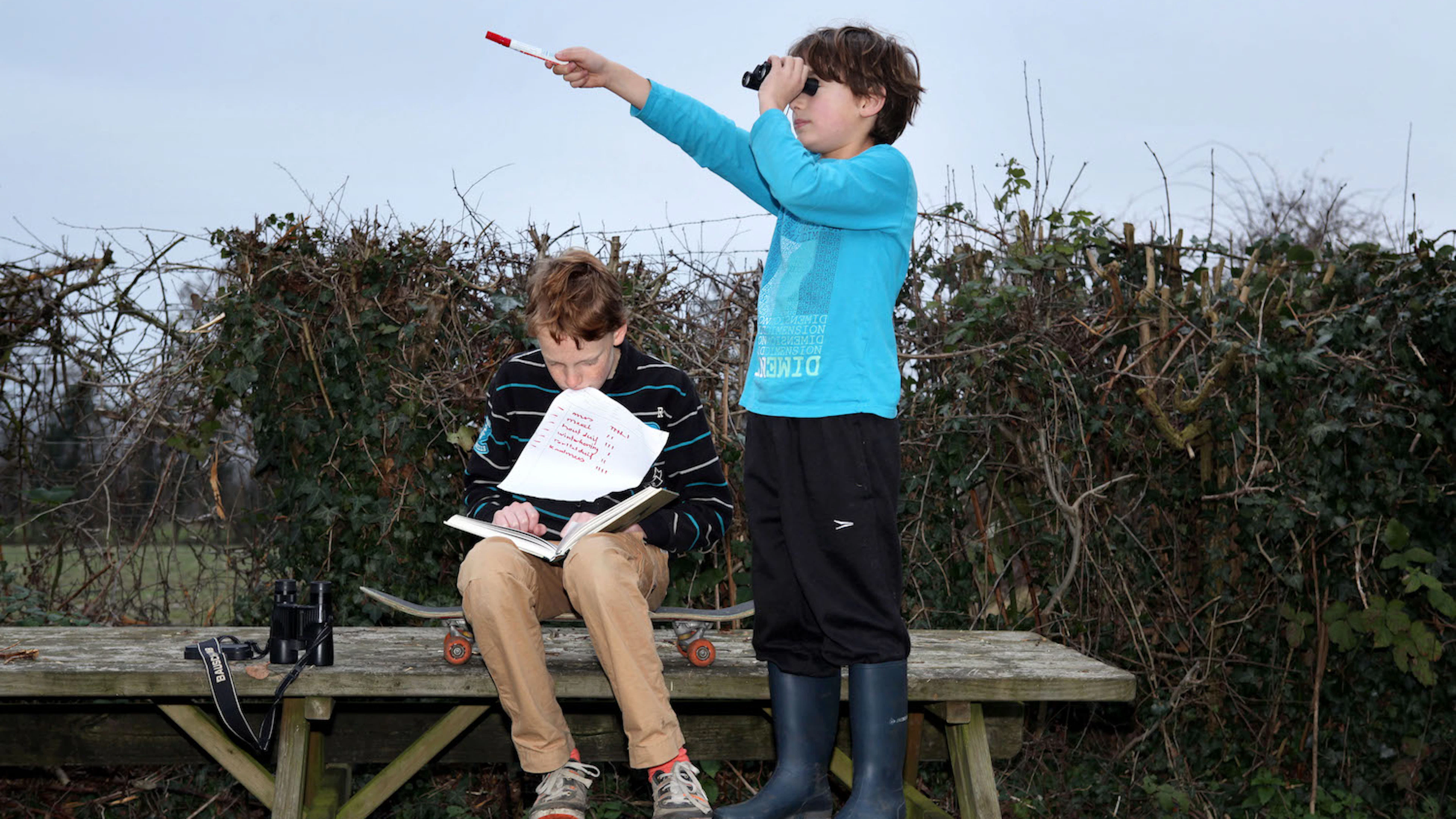 Het Grote Vogelweekend: meer tellers, minder vogels