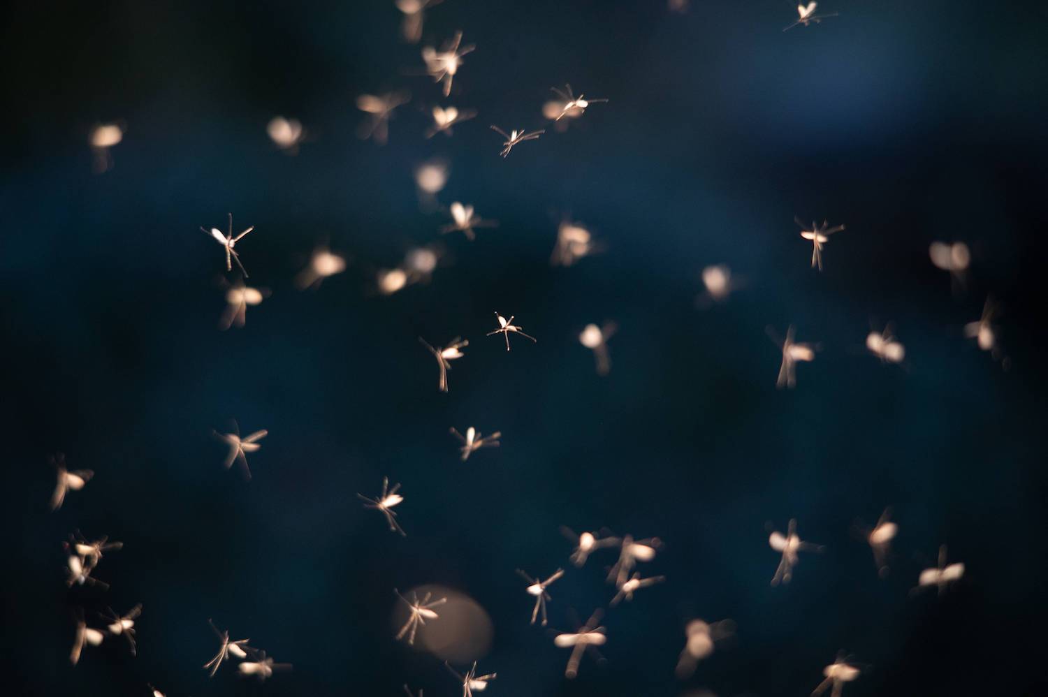 Luchtballet en vlammenwerpers