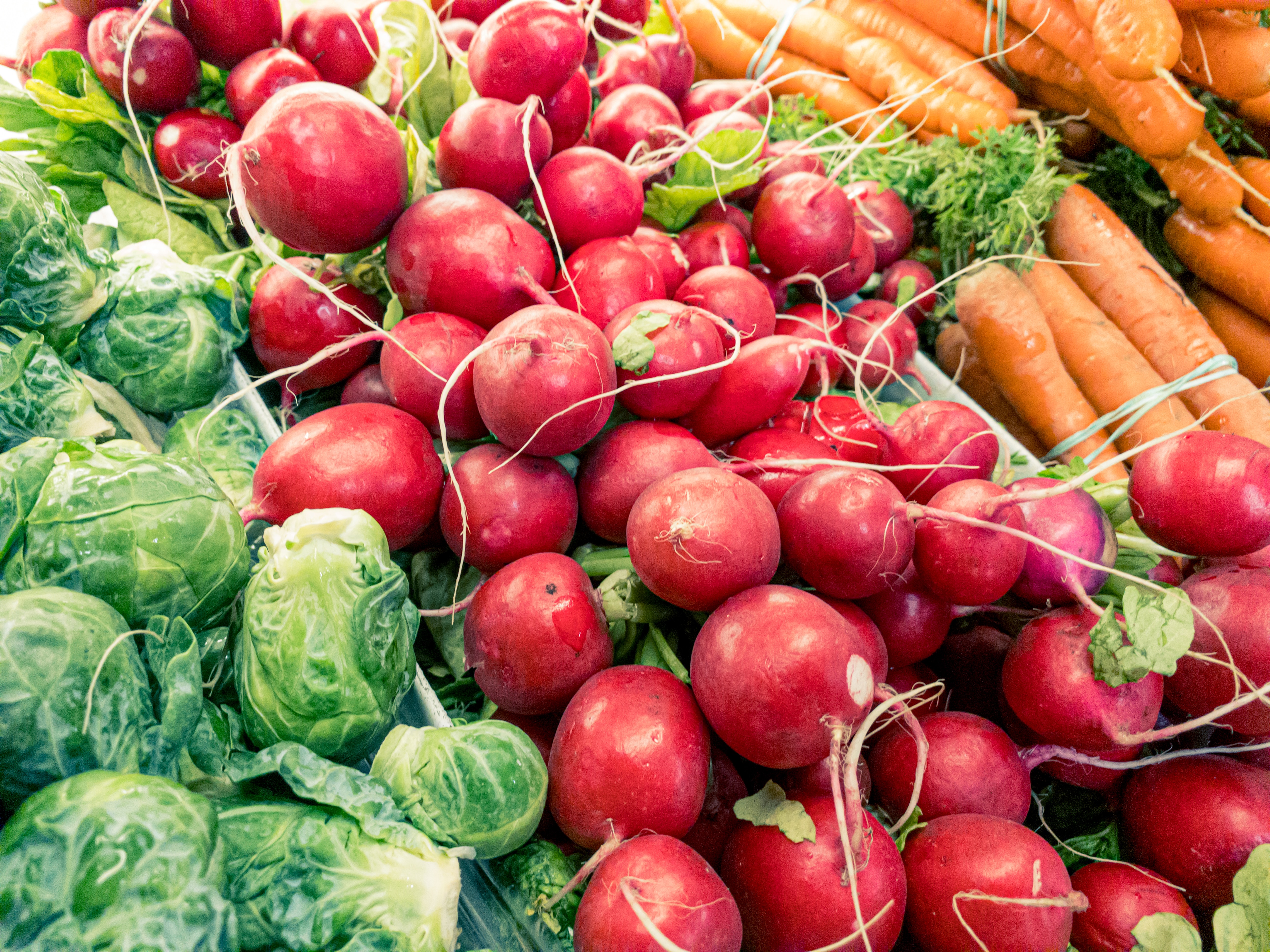 Beschermen stoffen in fruit, groenten en thee tegen de ziekte van Alzheimer?