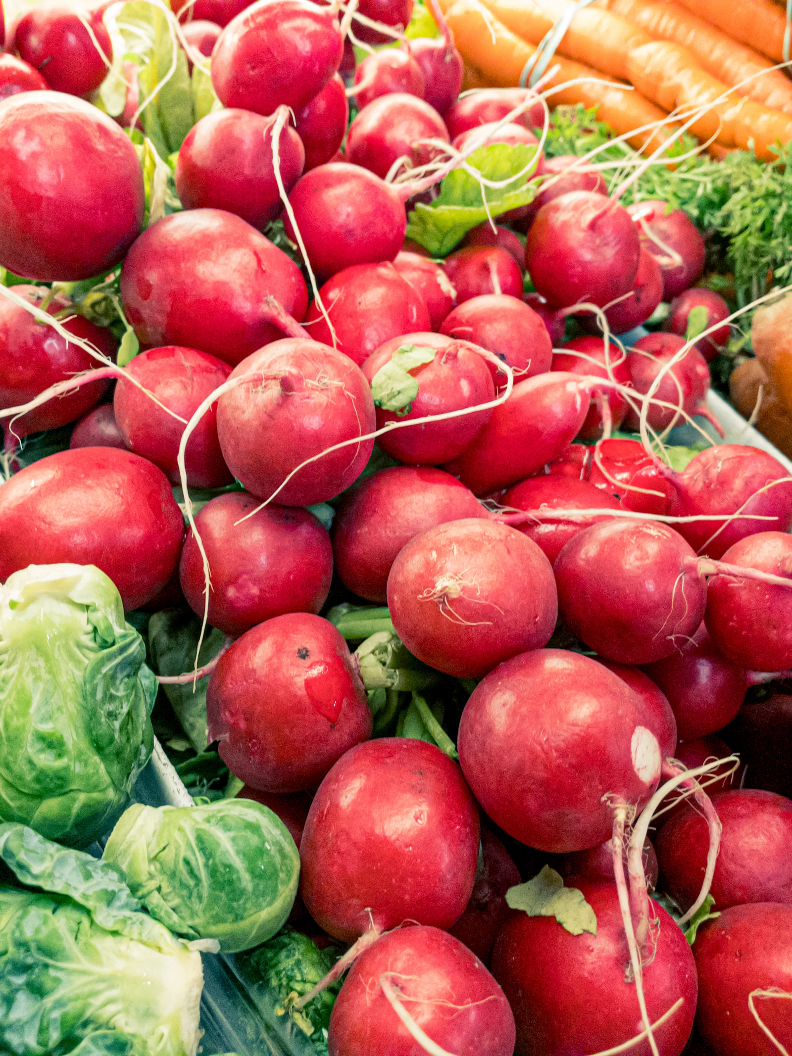 Beschermen stoffen in fruit, groenten en thee tegen de ziekte van Alzheimer?