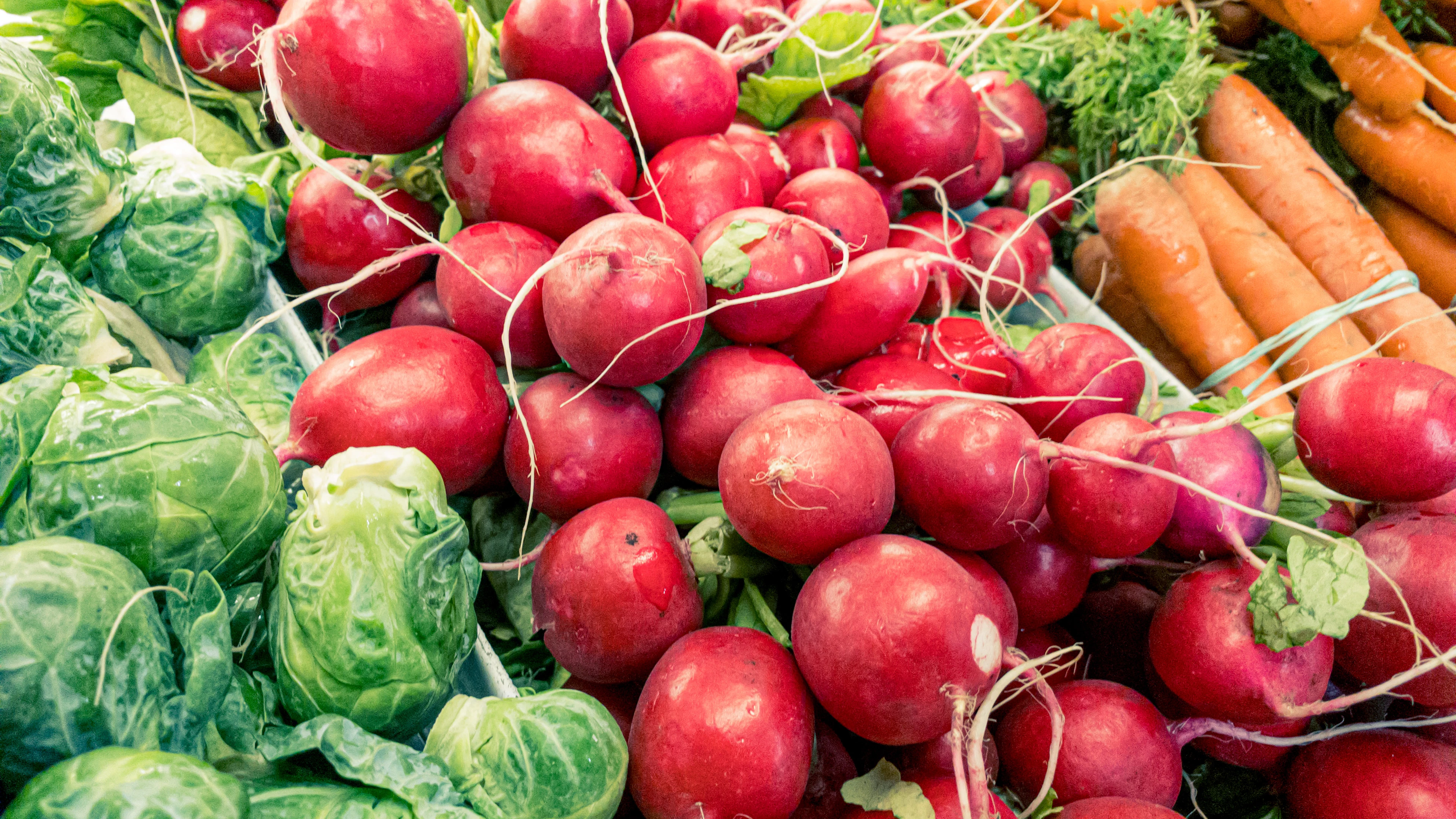 Beschermen stoffen in fruit, groenten en thee tegen de ziekte van Alzheimer?