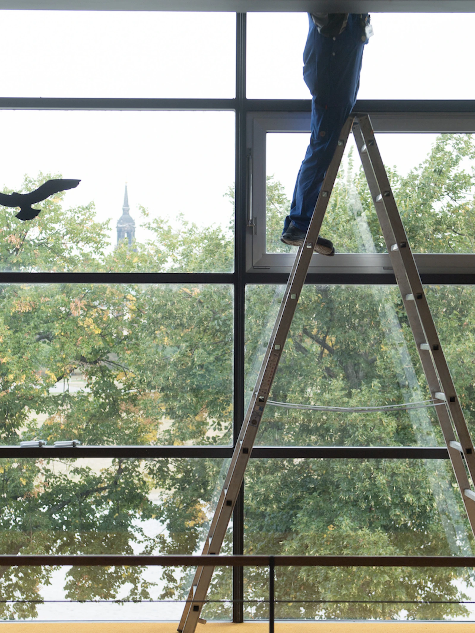 De man op de ladder