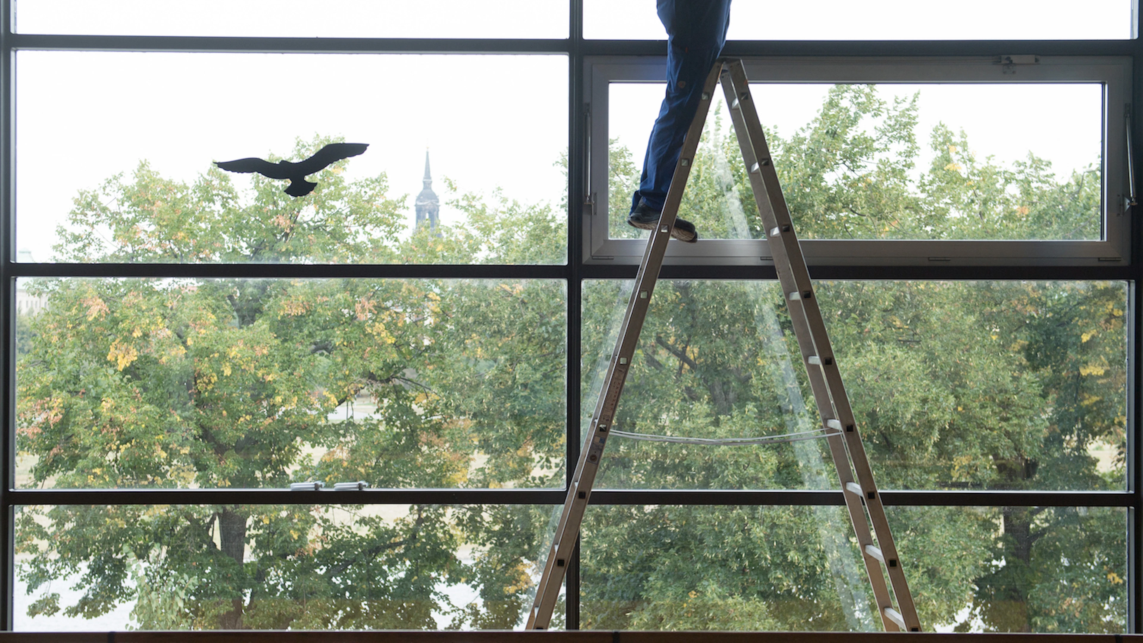 De man op de ladder