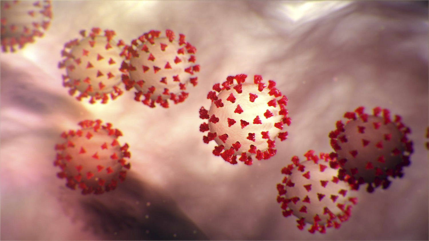 Doorbraak in zoektocht naar vaccin tegen coronavirus