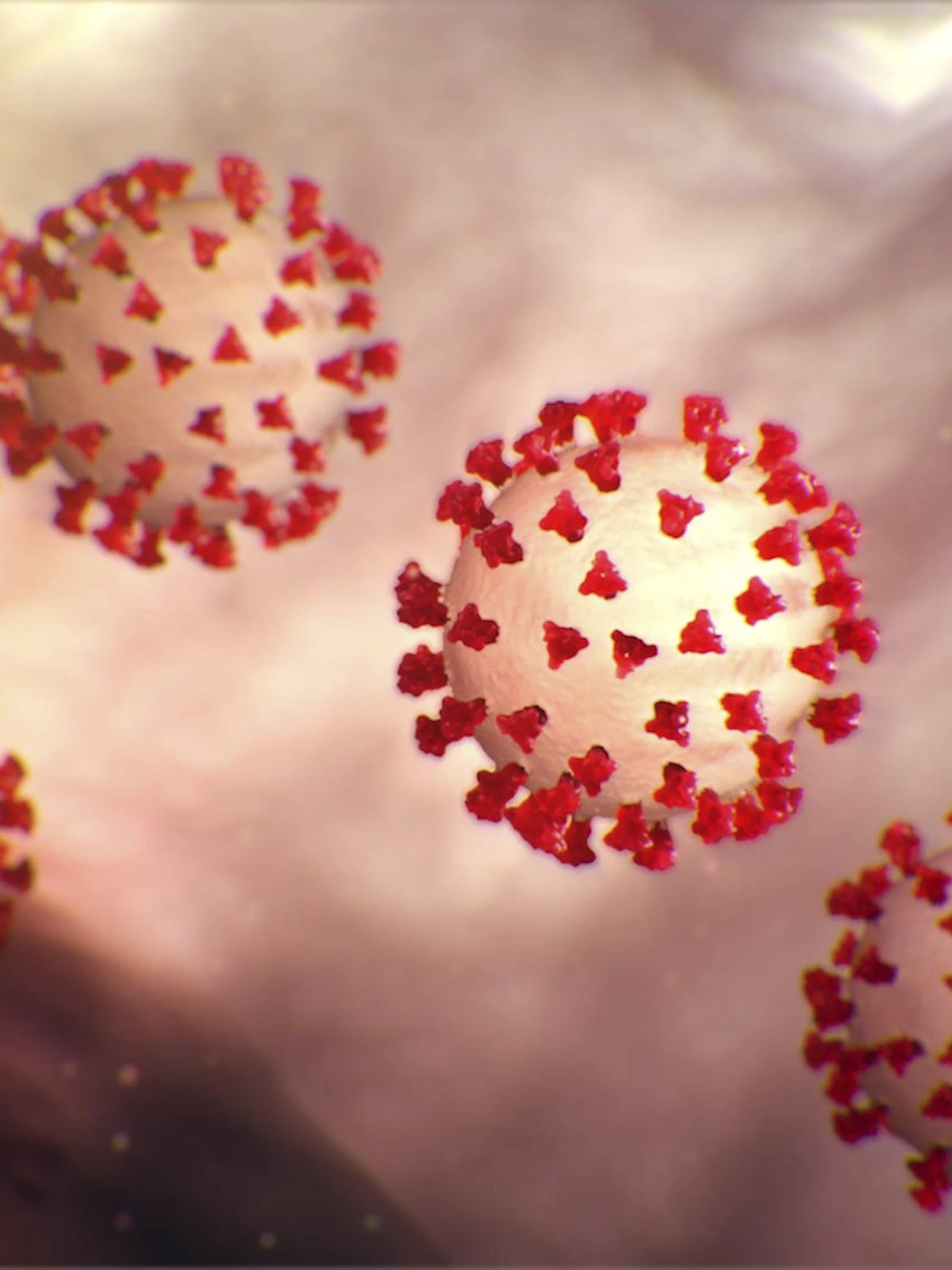 Doorbraak in zoektocht naar vaccin tegen coronavirus