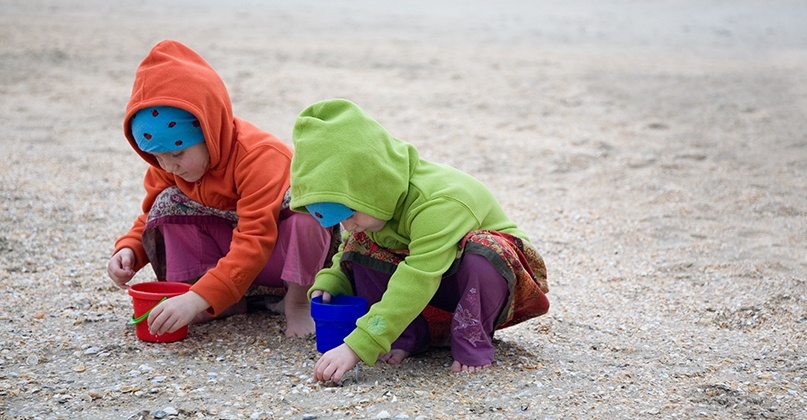 Grote Schelpenteldag 2020 onderzoekt effect winterstormen op strandschelpen