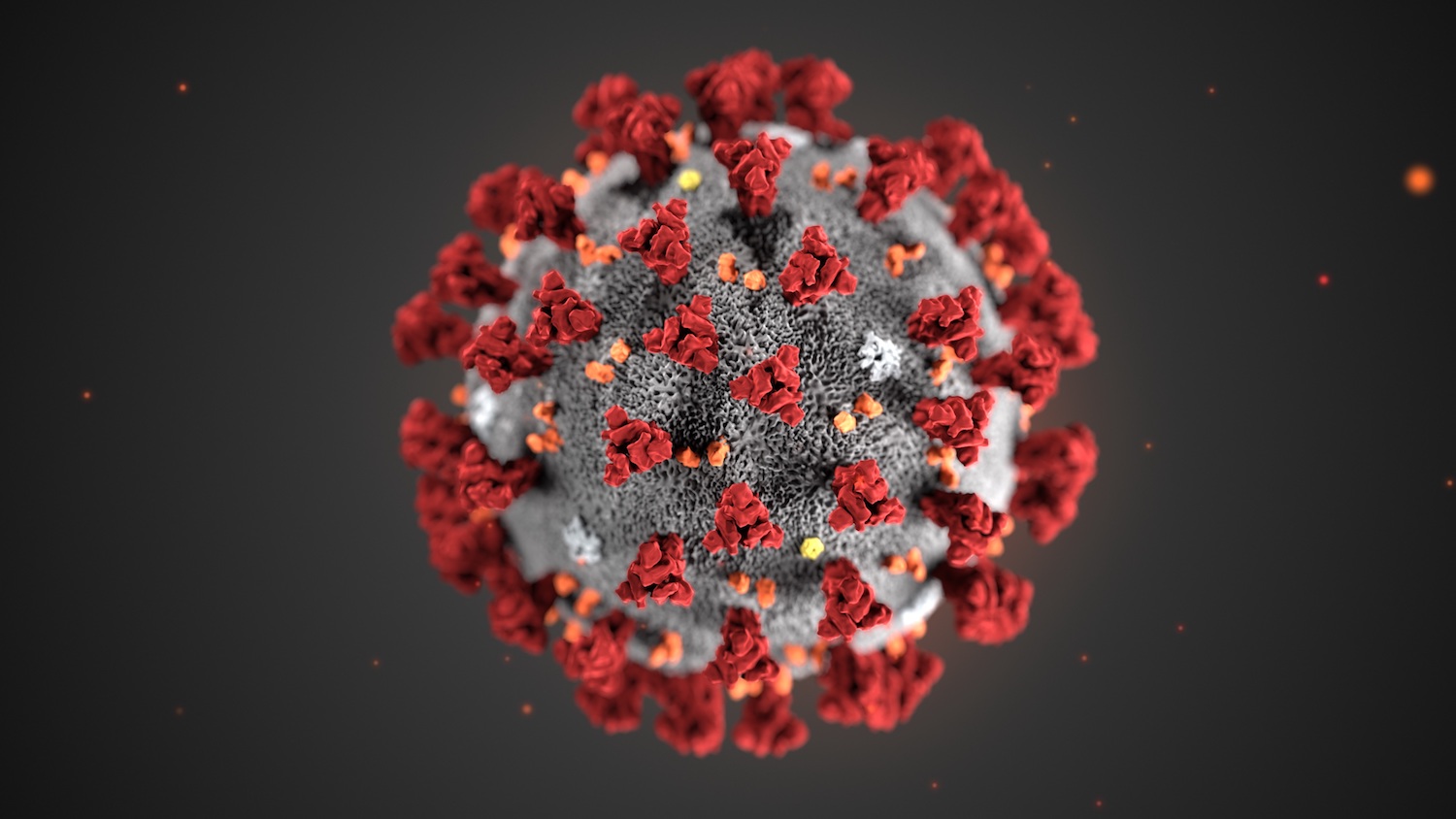 Wat weten we vandaag over het coronavirus?