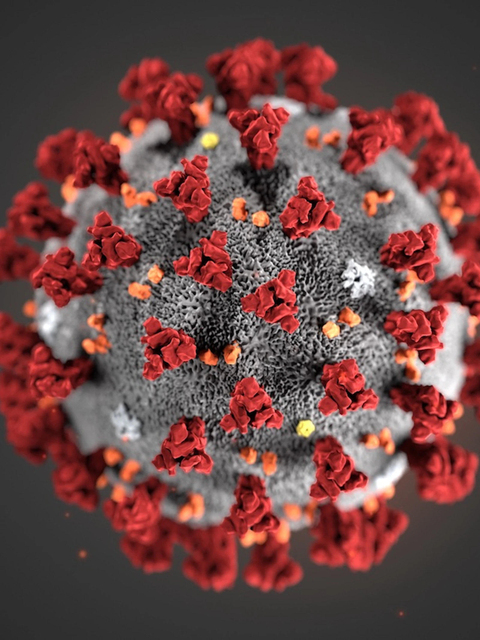 Wat weten we vandaag over het coronavirus?