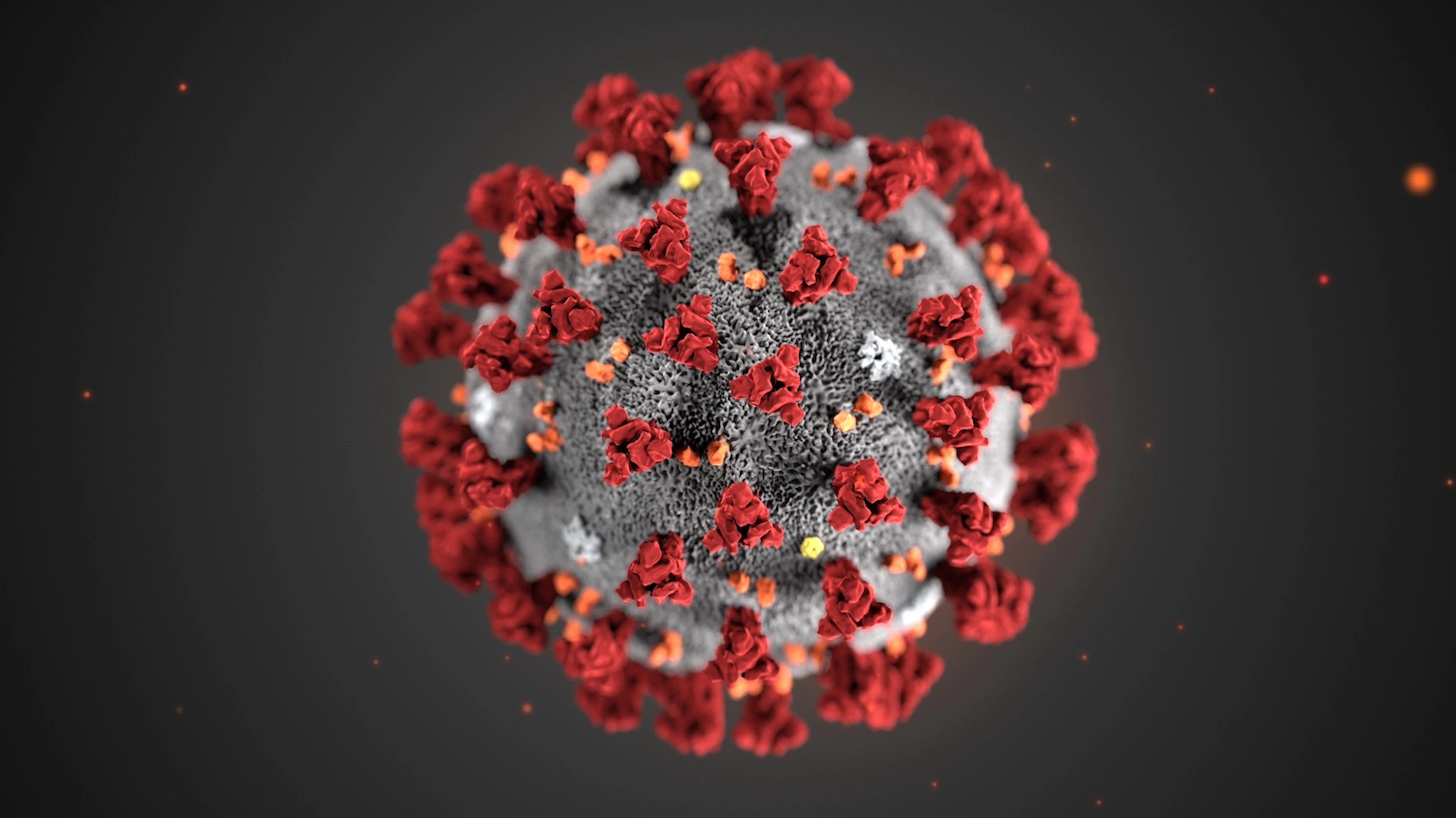 Wat weten we vandaag over het coronavirus?