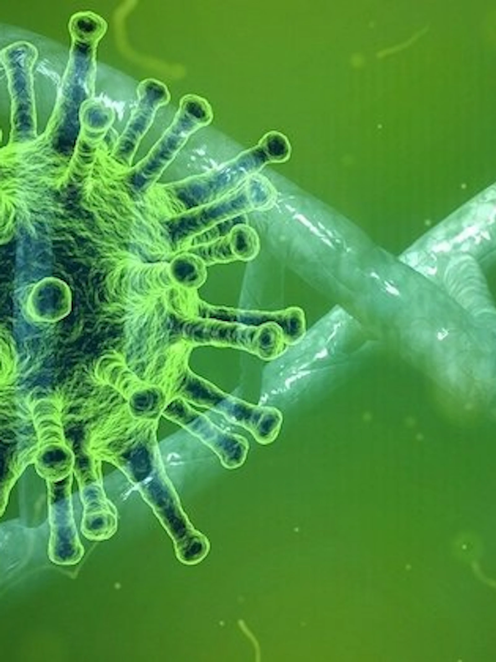 Zes vragen en antwoorden over het coronavirus