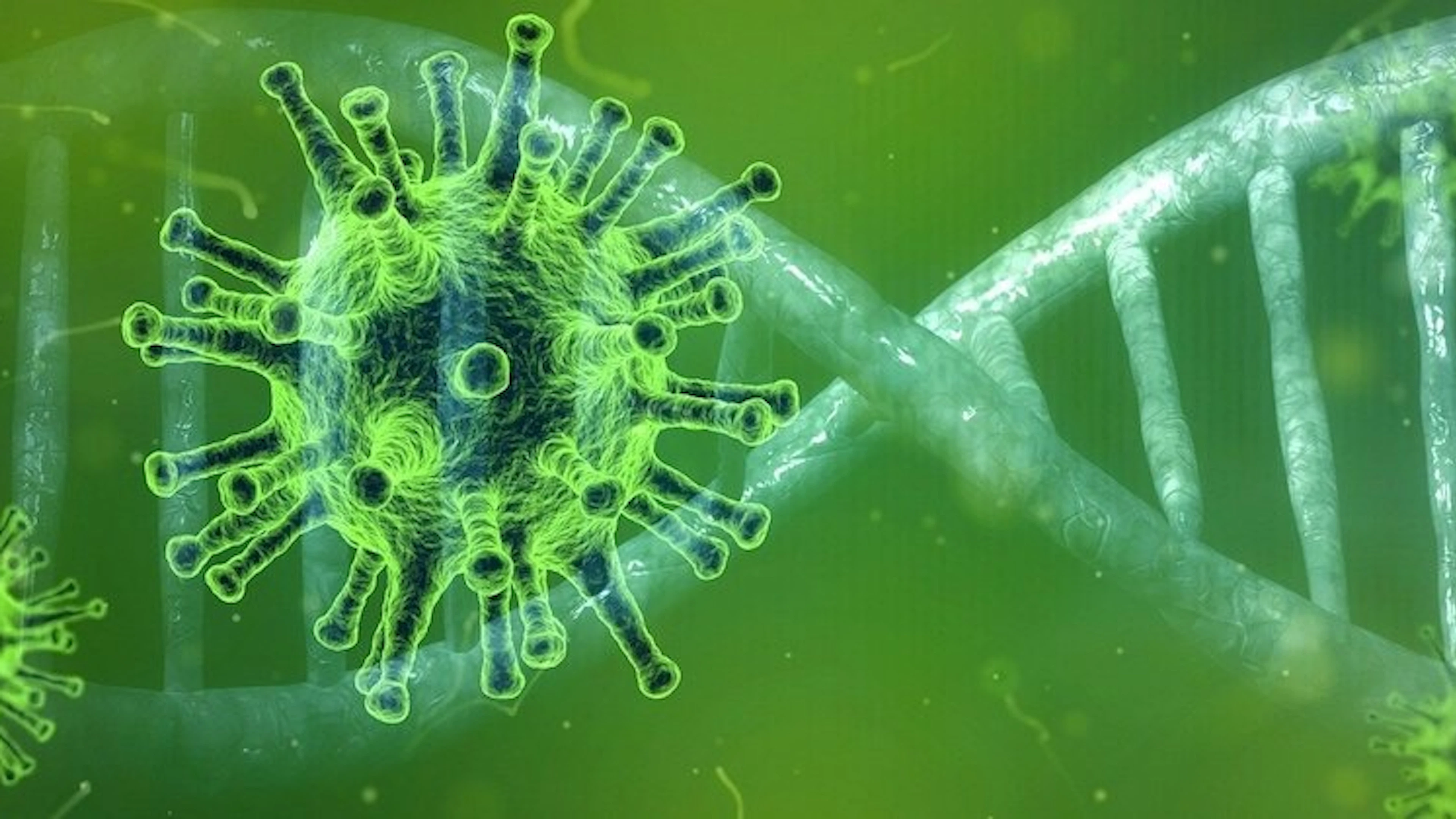 Zes vragen en antwoorden over het coronavirus