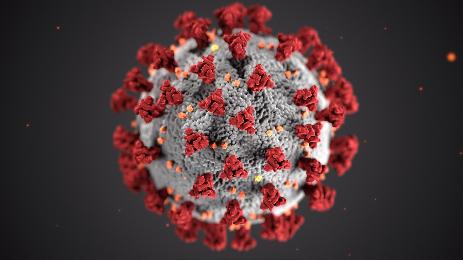 Waarom verspreidt het coronavirus zich zo gemakkelijk tussen mensen?