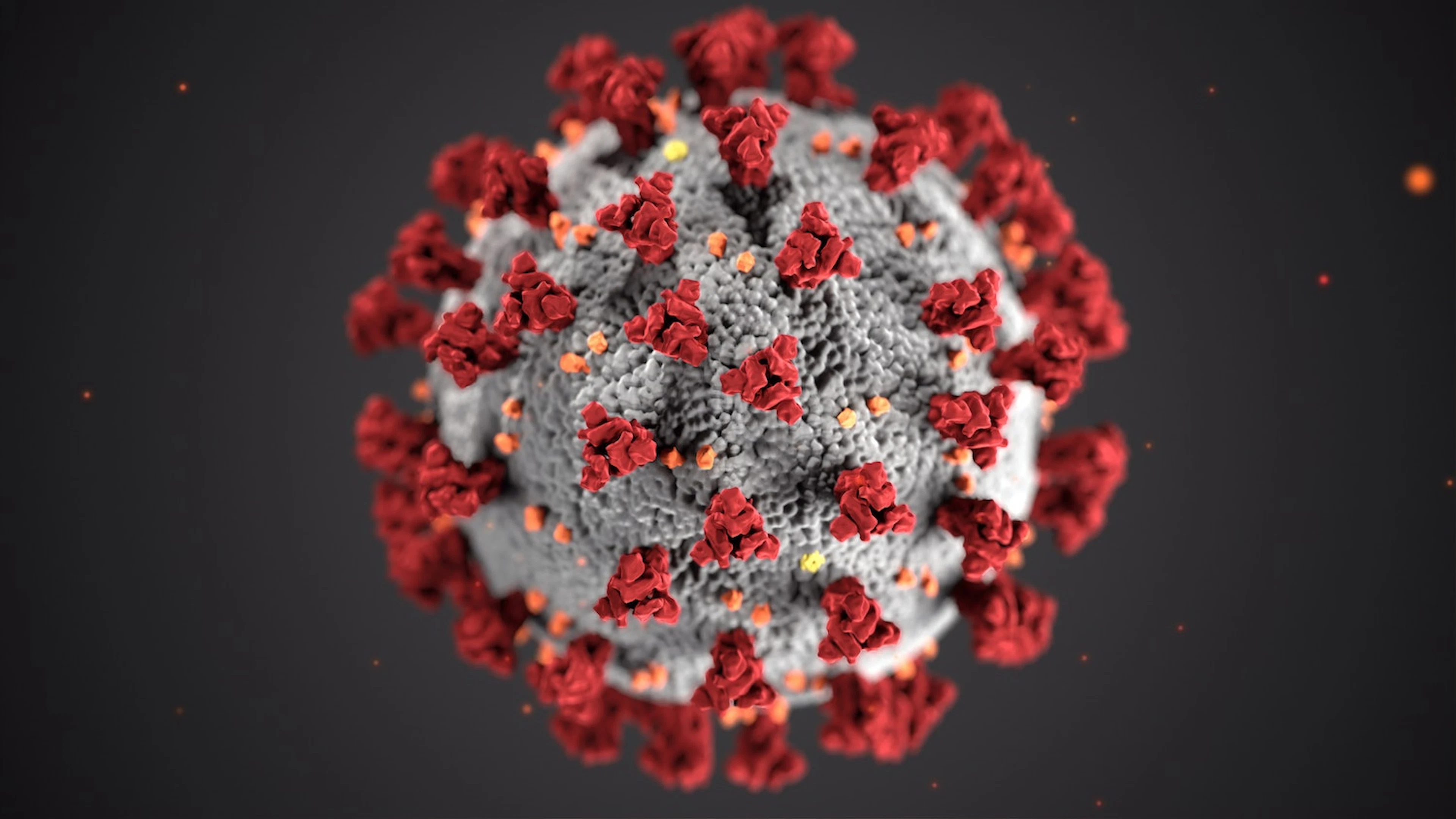 Waarom verspreidt het coronavirus zich zo gemakkelijk tussen mensen?