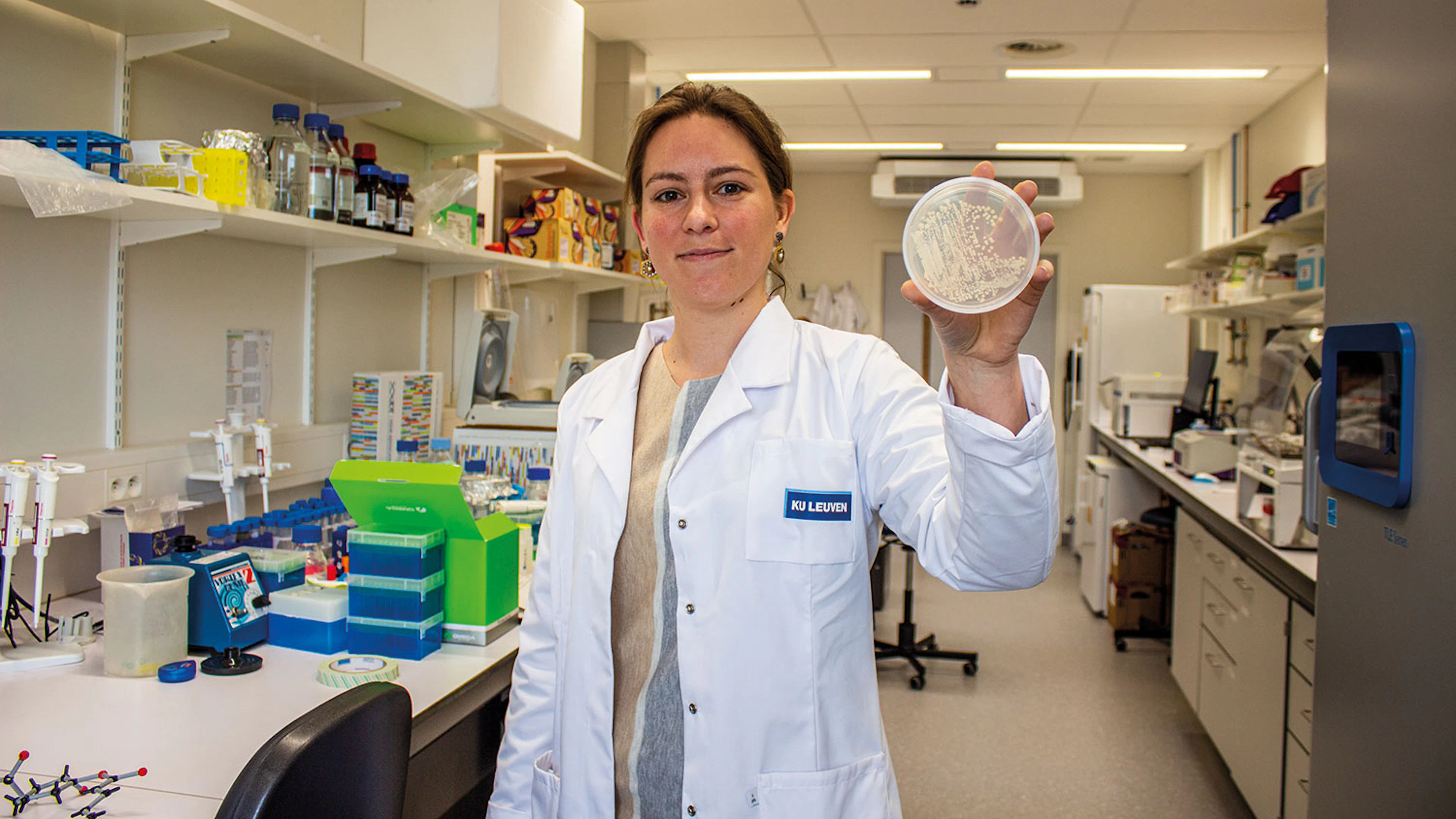 Bacteriën als antibioticafabriek