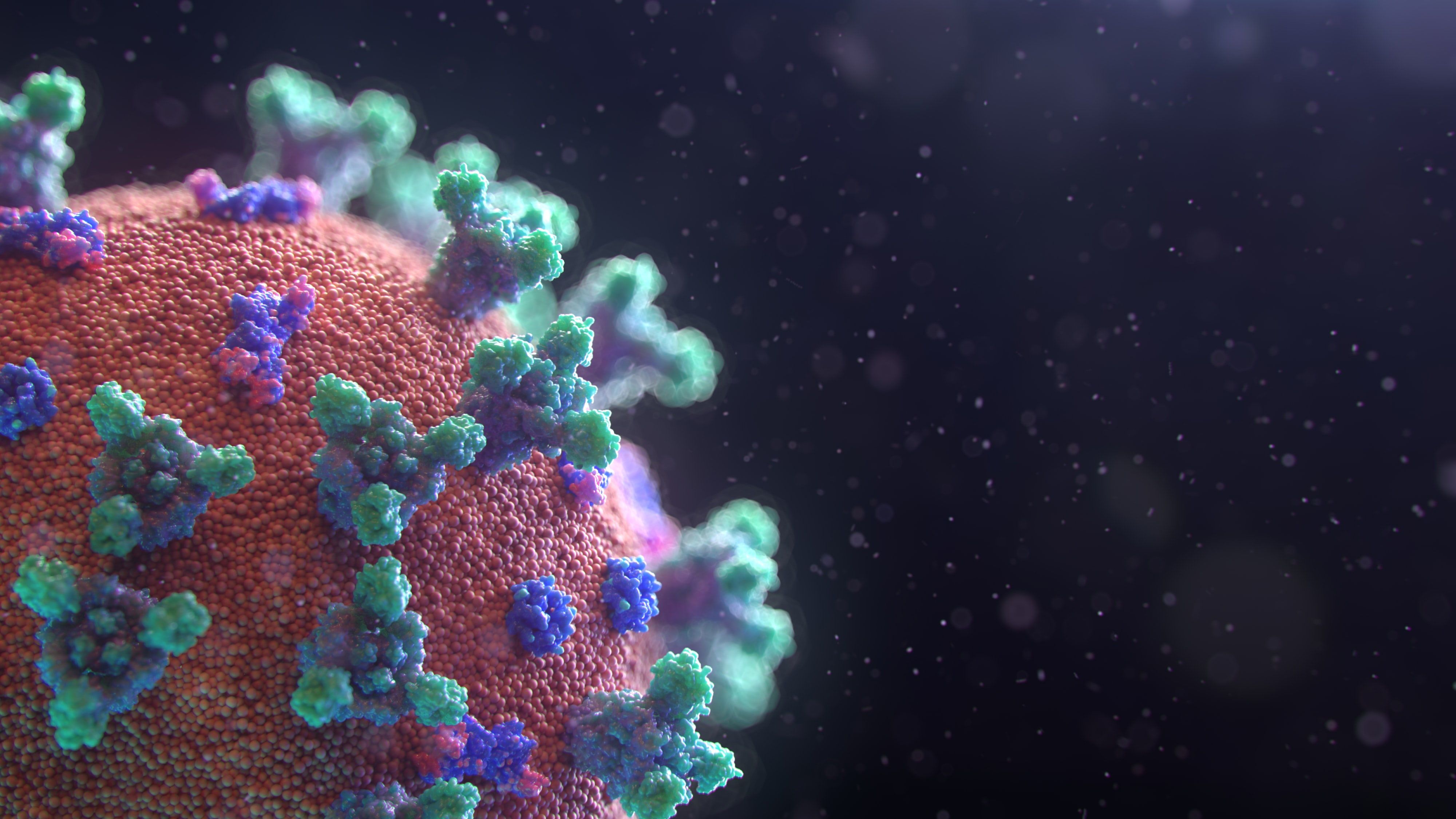 Stopt warmer weer de verspreiding van het coronavirus?