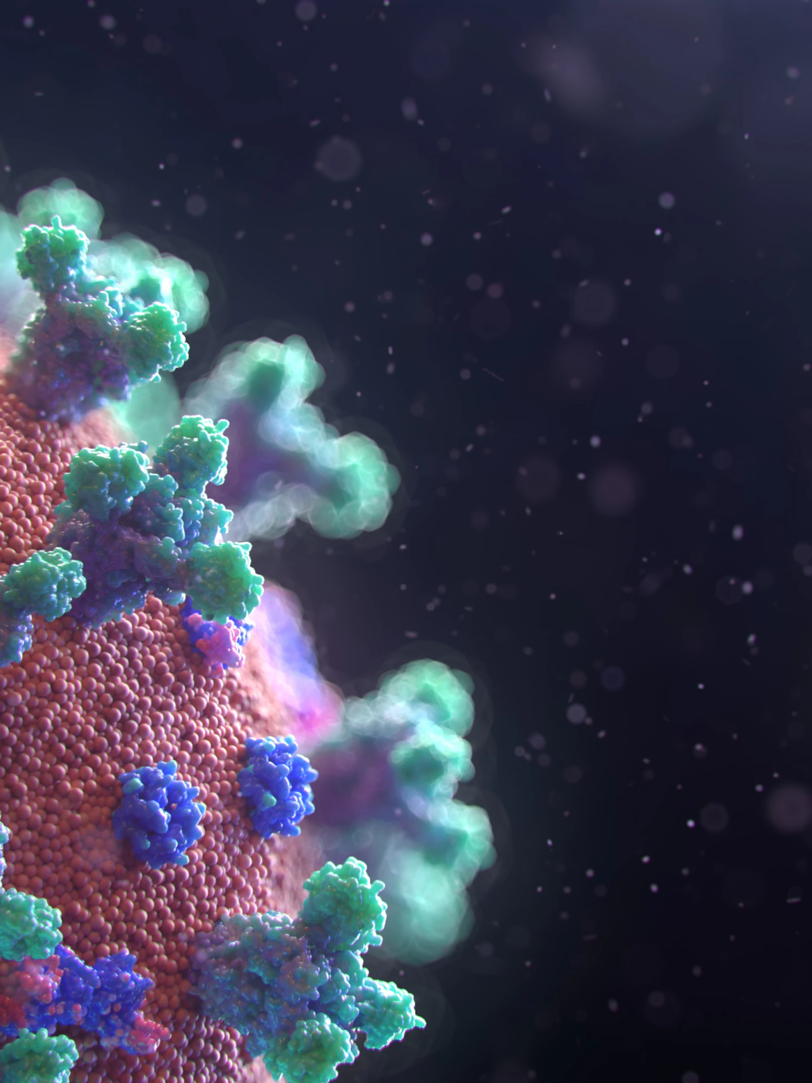 Stopt warmer weer de verspreiding van het coronavirus?