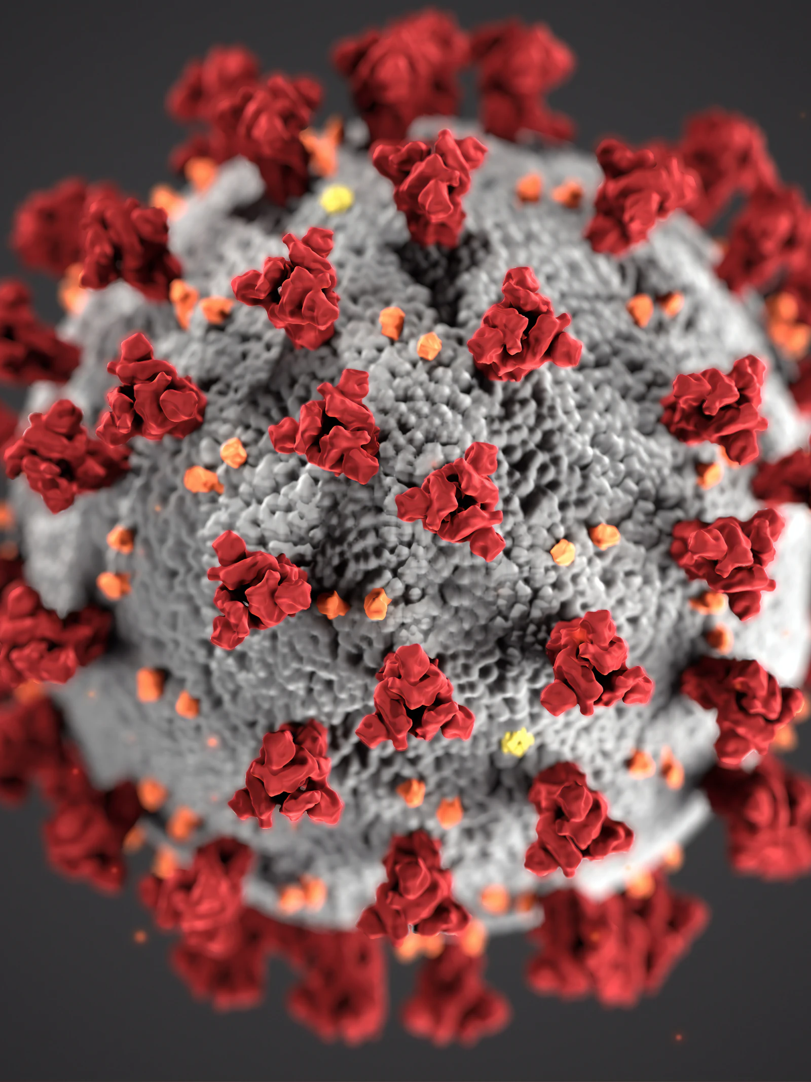 Coronavirus blijft onder de radar